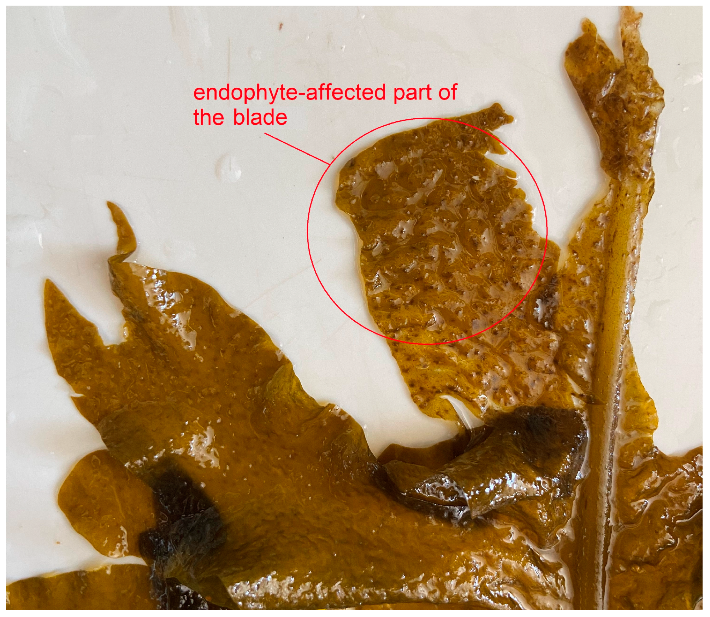 Marinedrugs 21 00466 g020