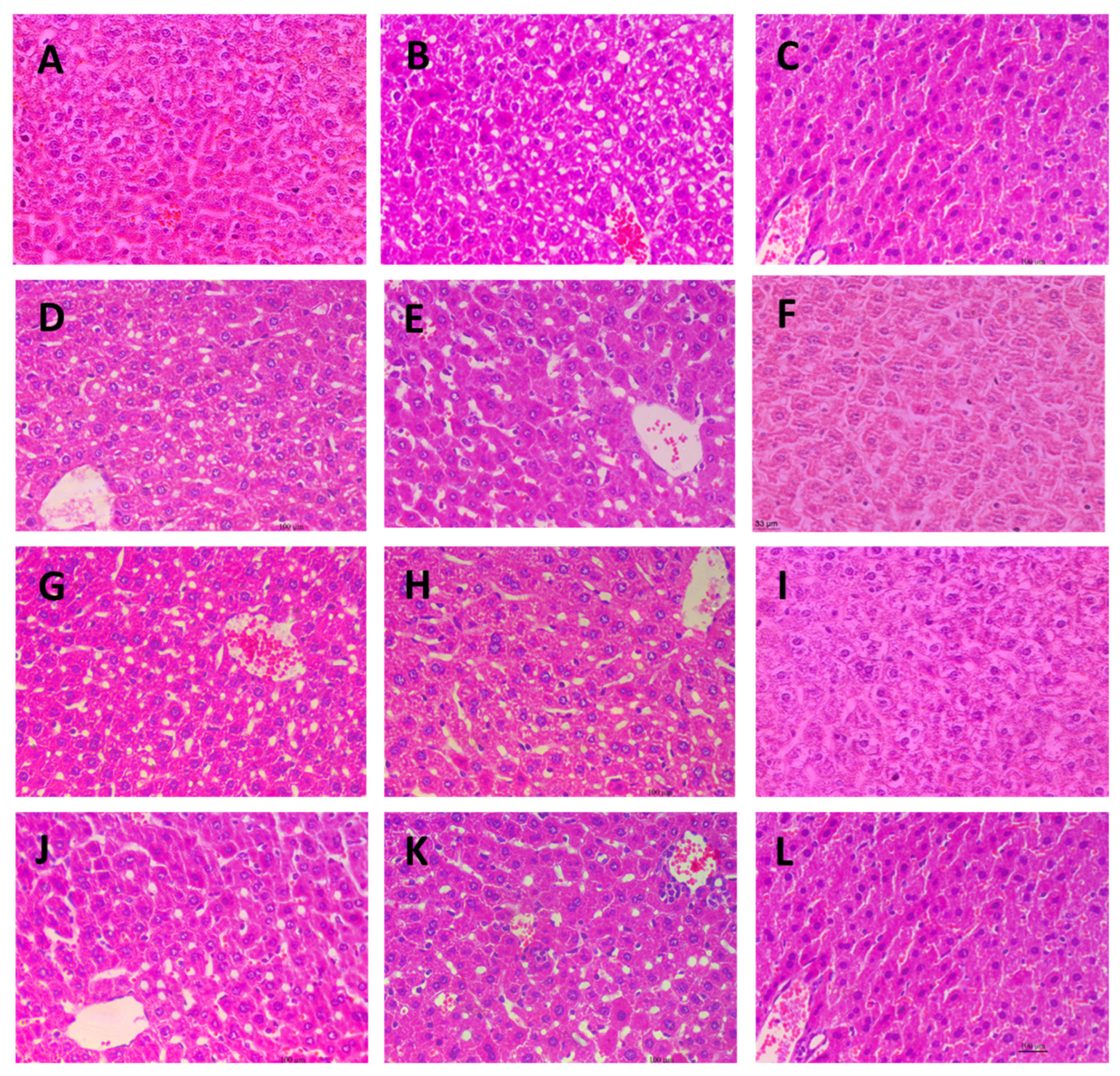 Marinedrugs 21 00468 g007