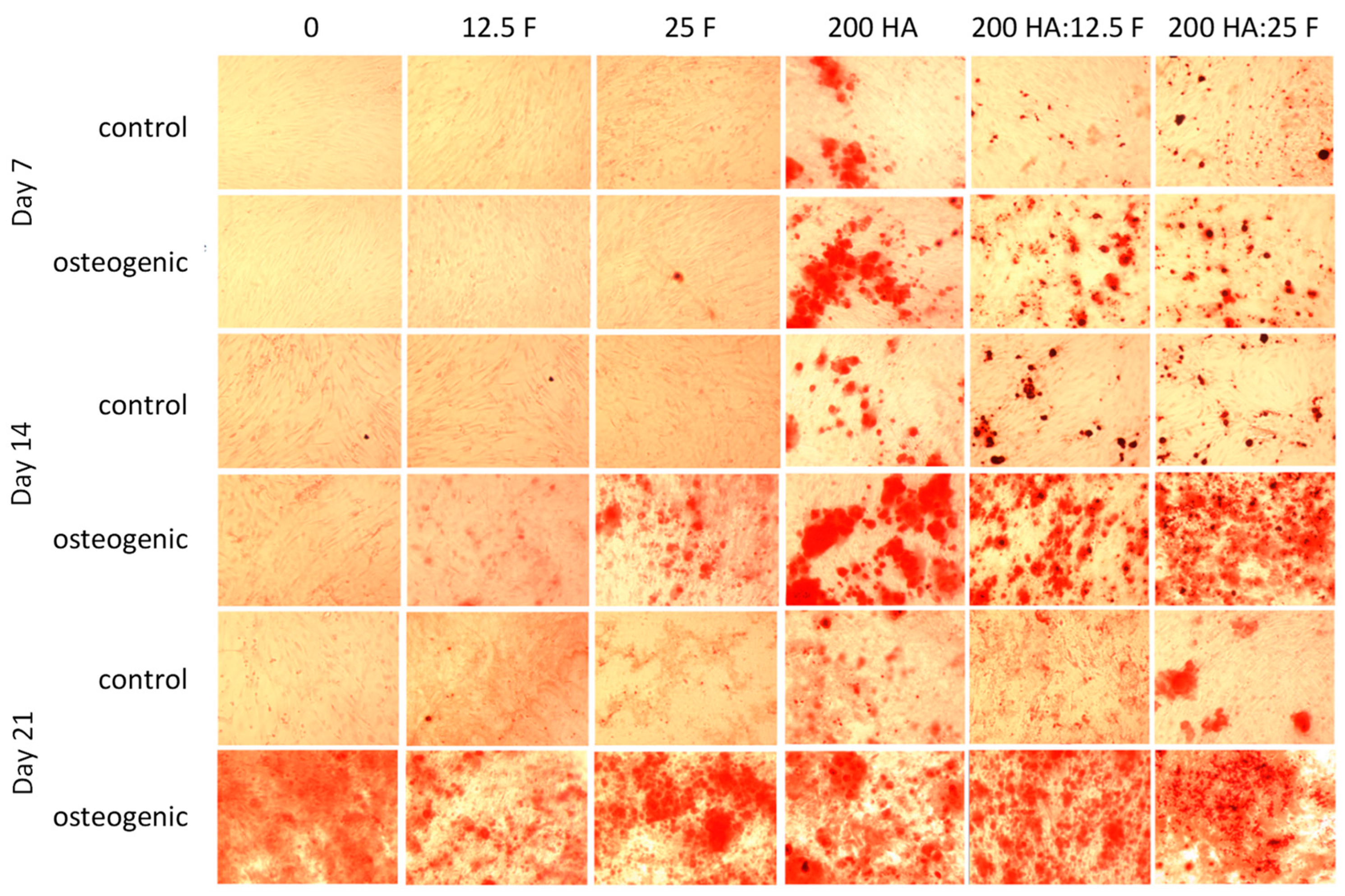 Marinedrugs 21 00473 g008