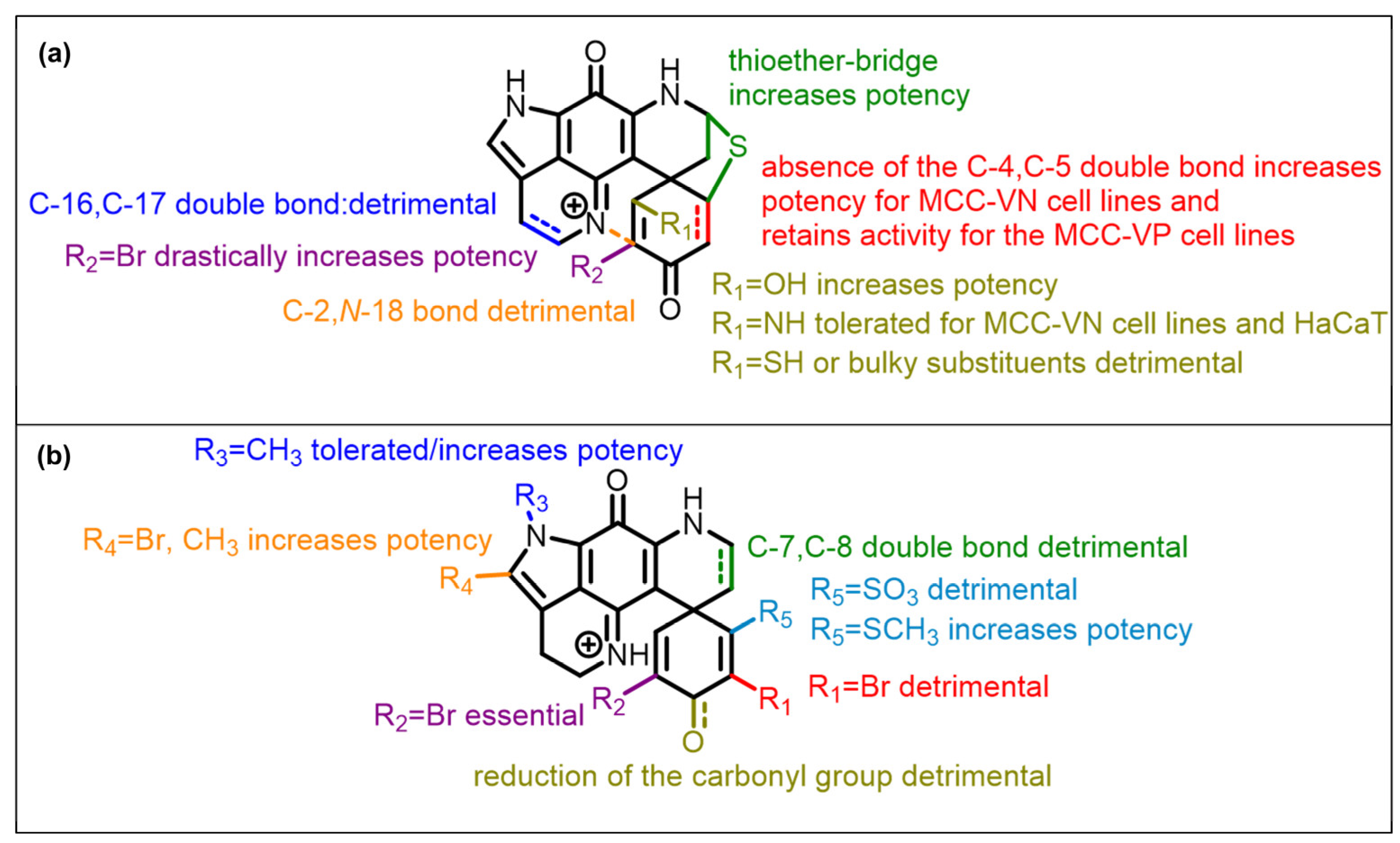 Marinedrugs 21 00474 g007