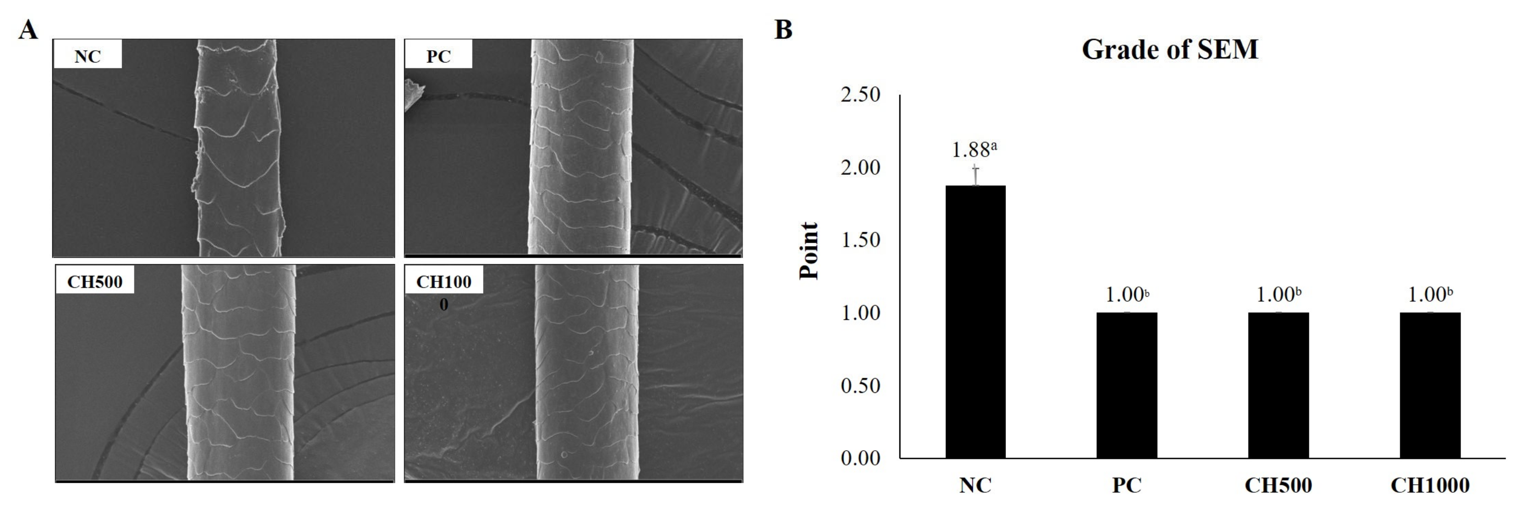 Marinedrugs 21 00475 g006