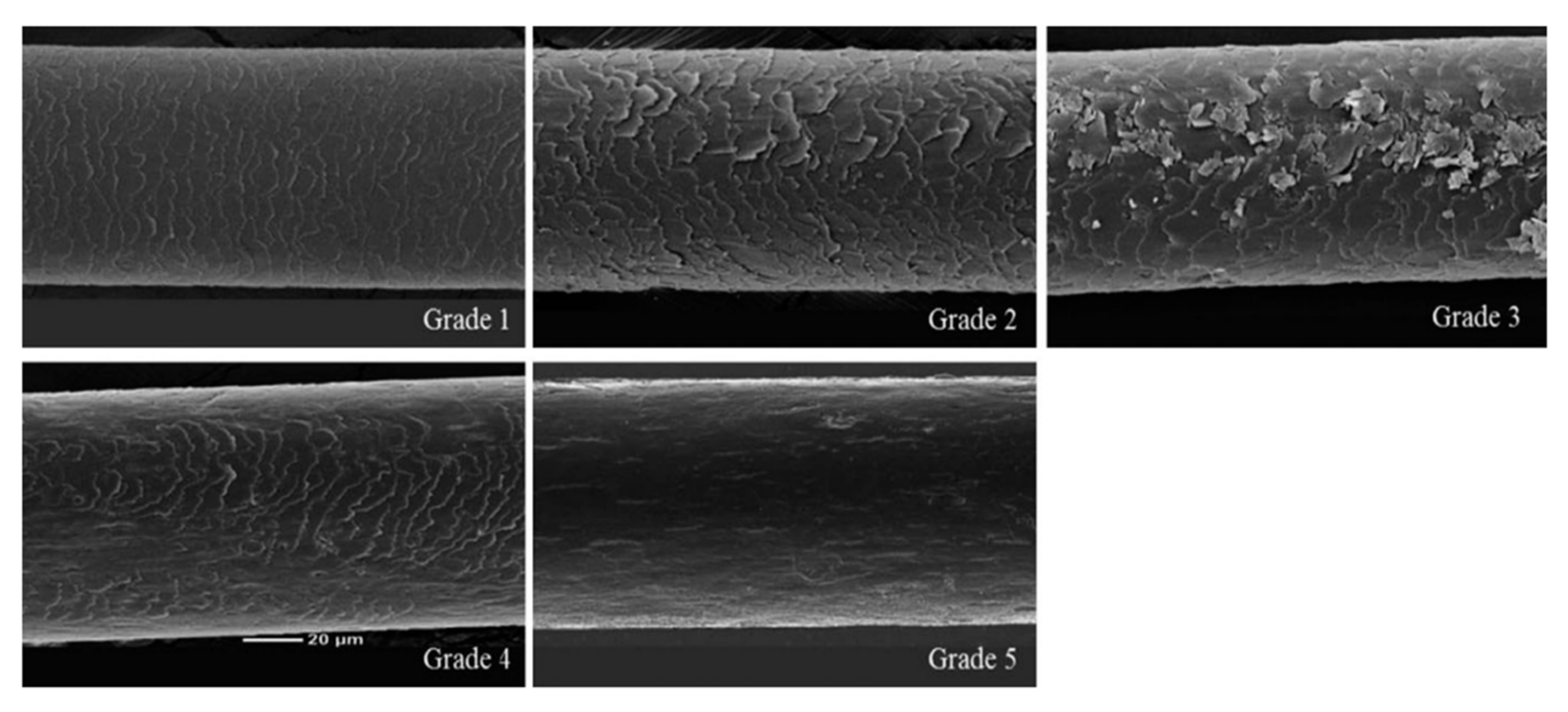 Marinedrugs 21 00475 g011