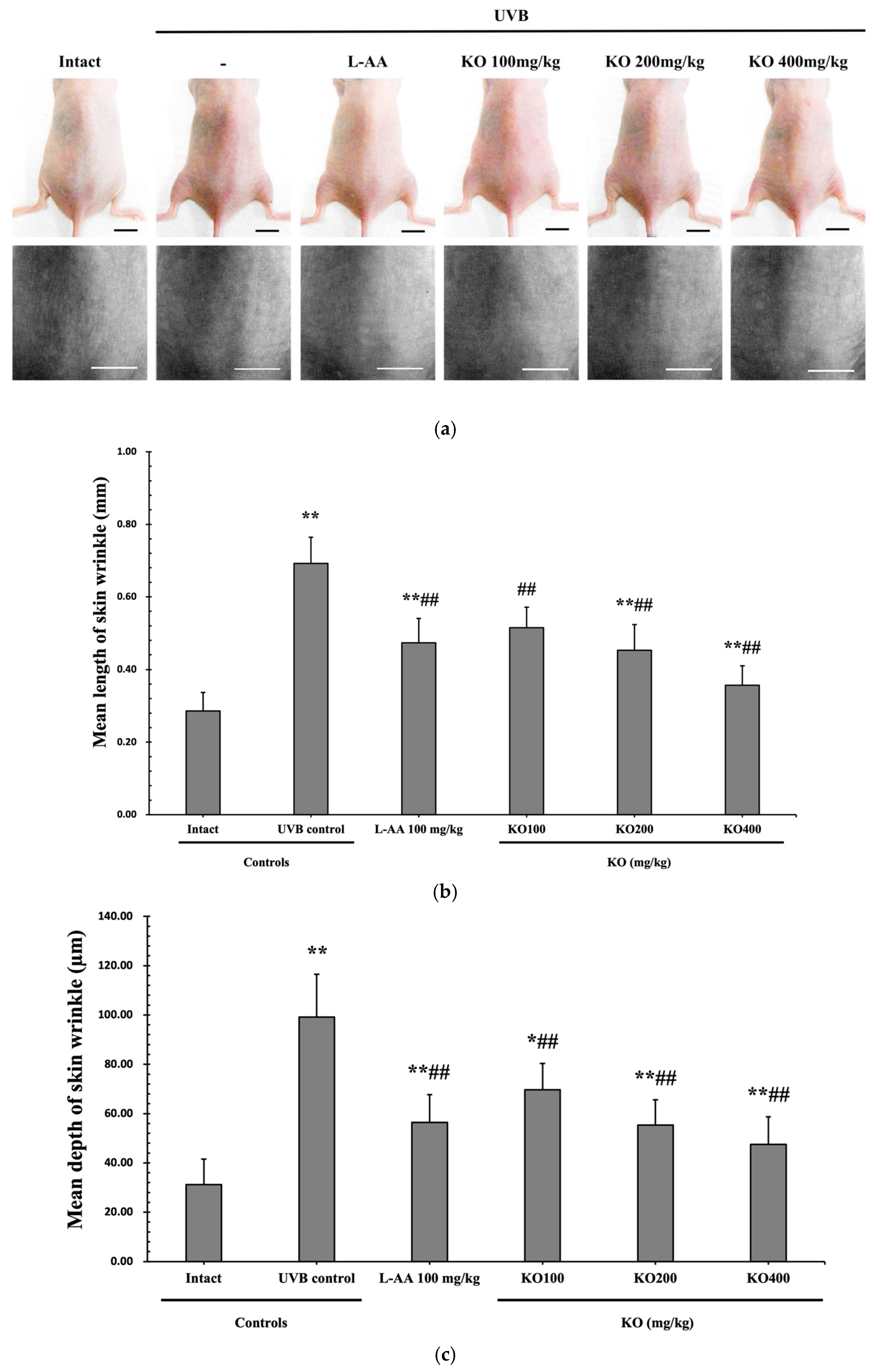 Marinedrugs 21 00479 g006a