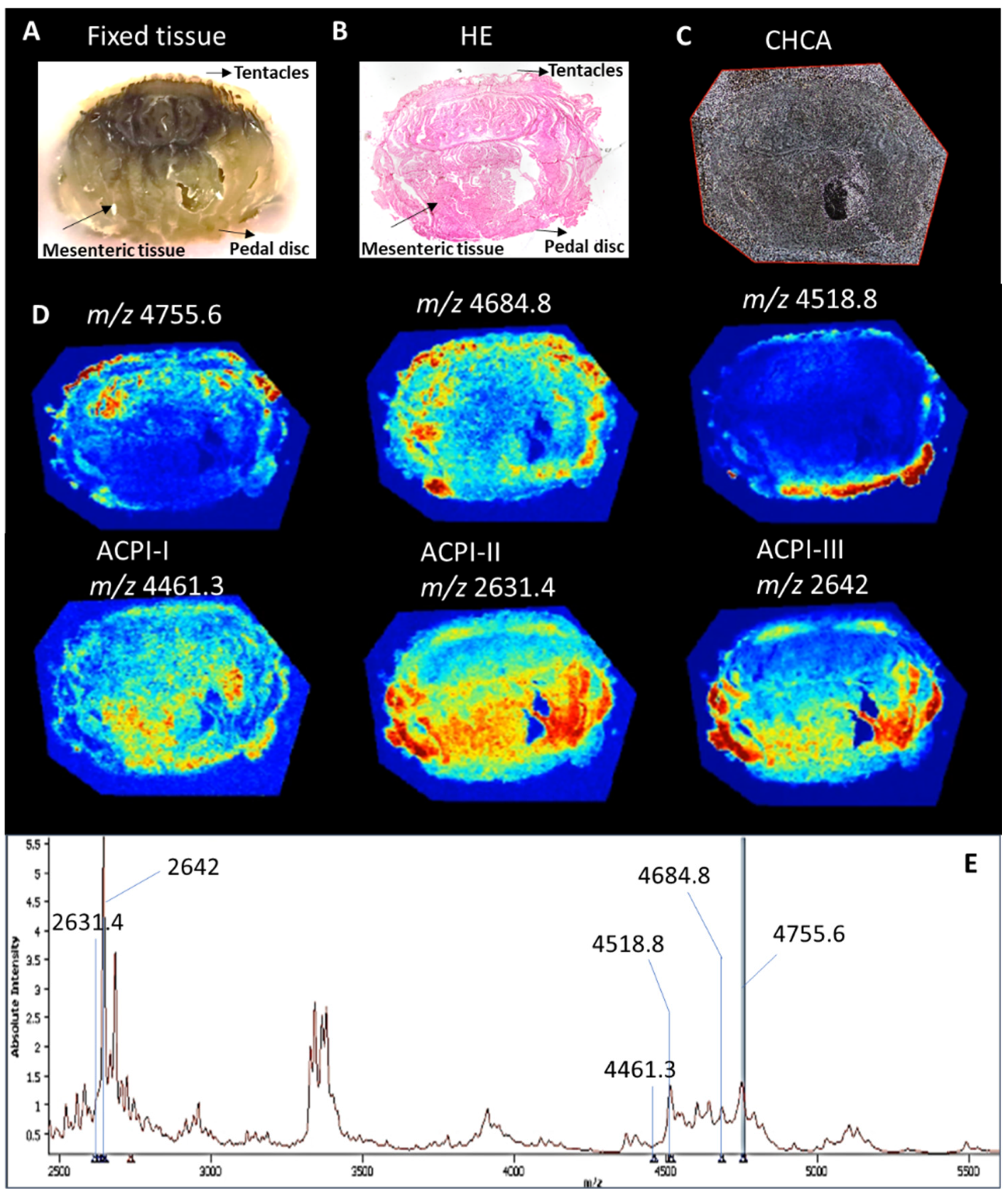 Marinedrugs 21 00481 g009