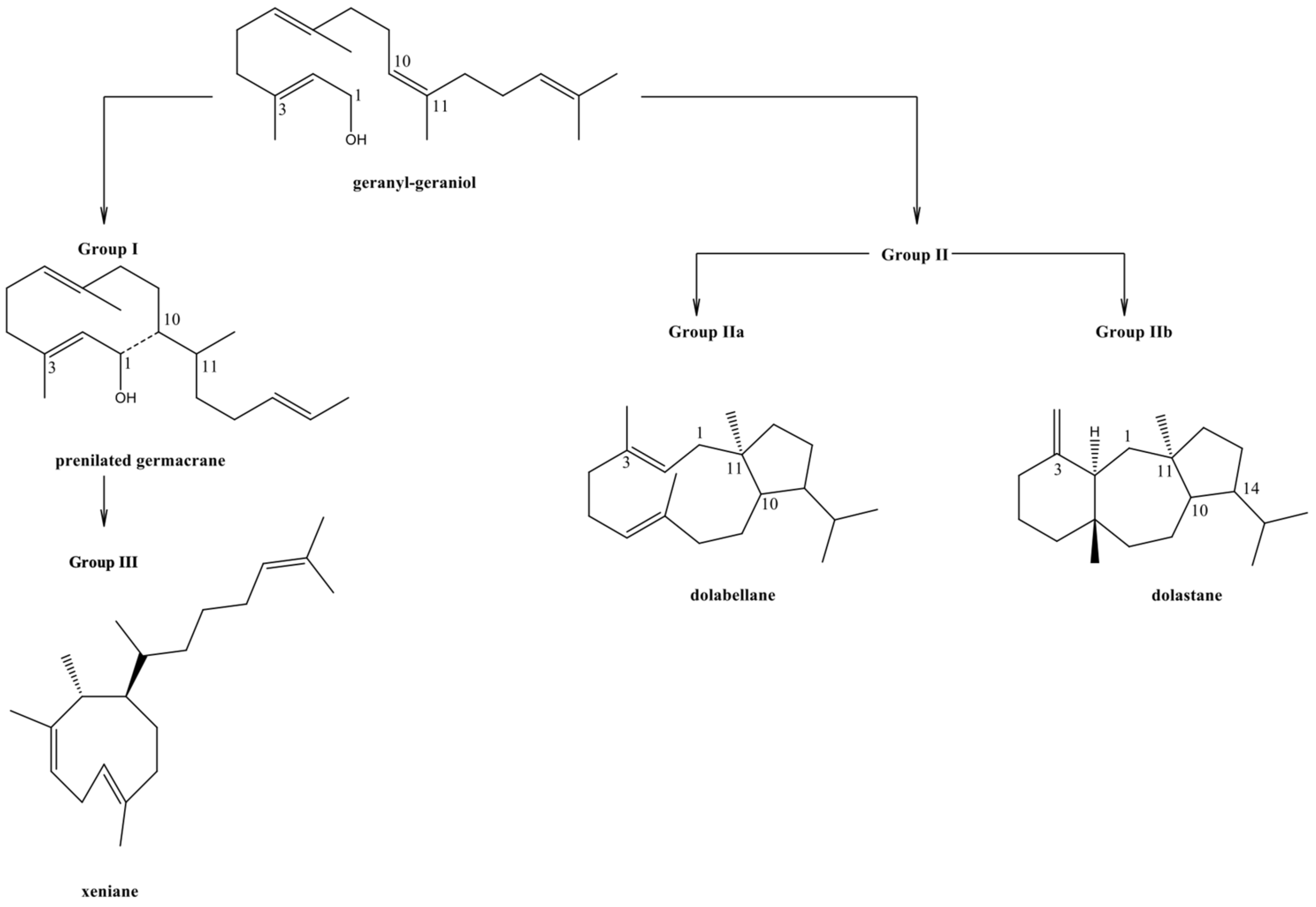 Marinedrugs 21 00484 g001