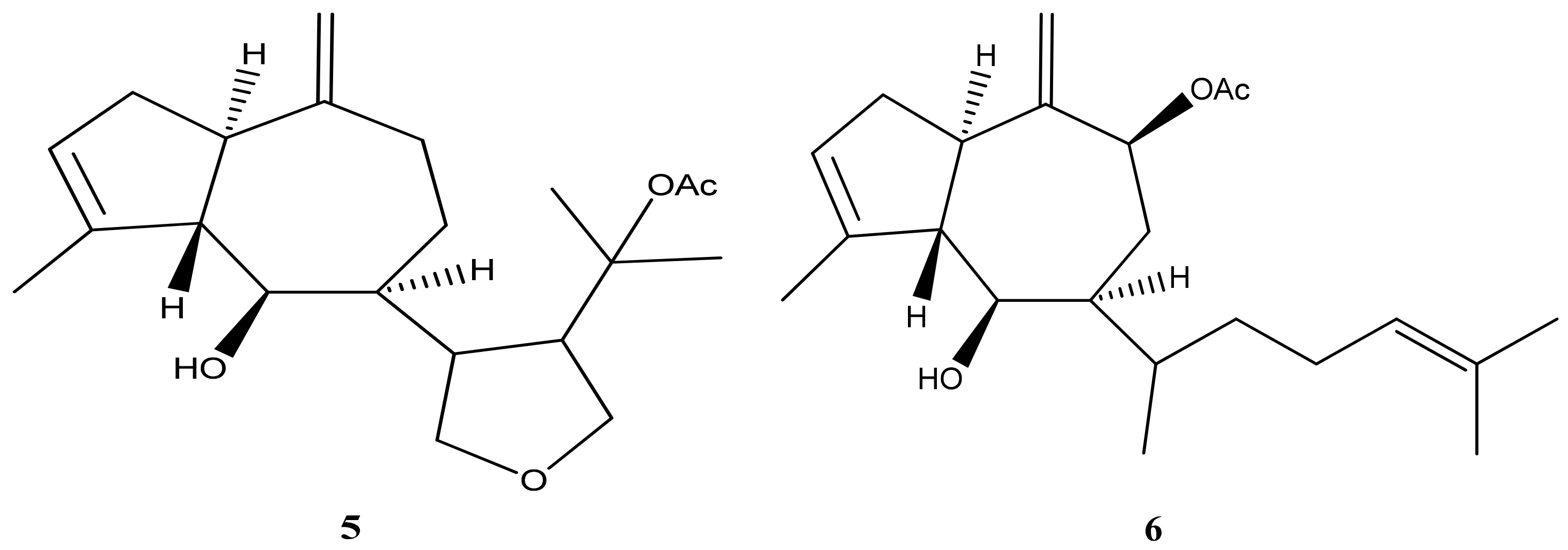 Marinedrugs 21 00484 g004