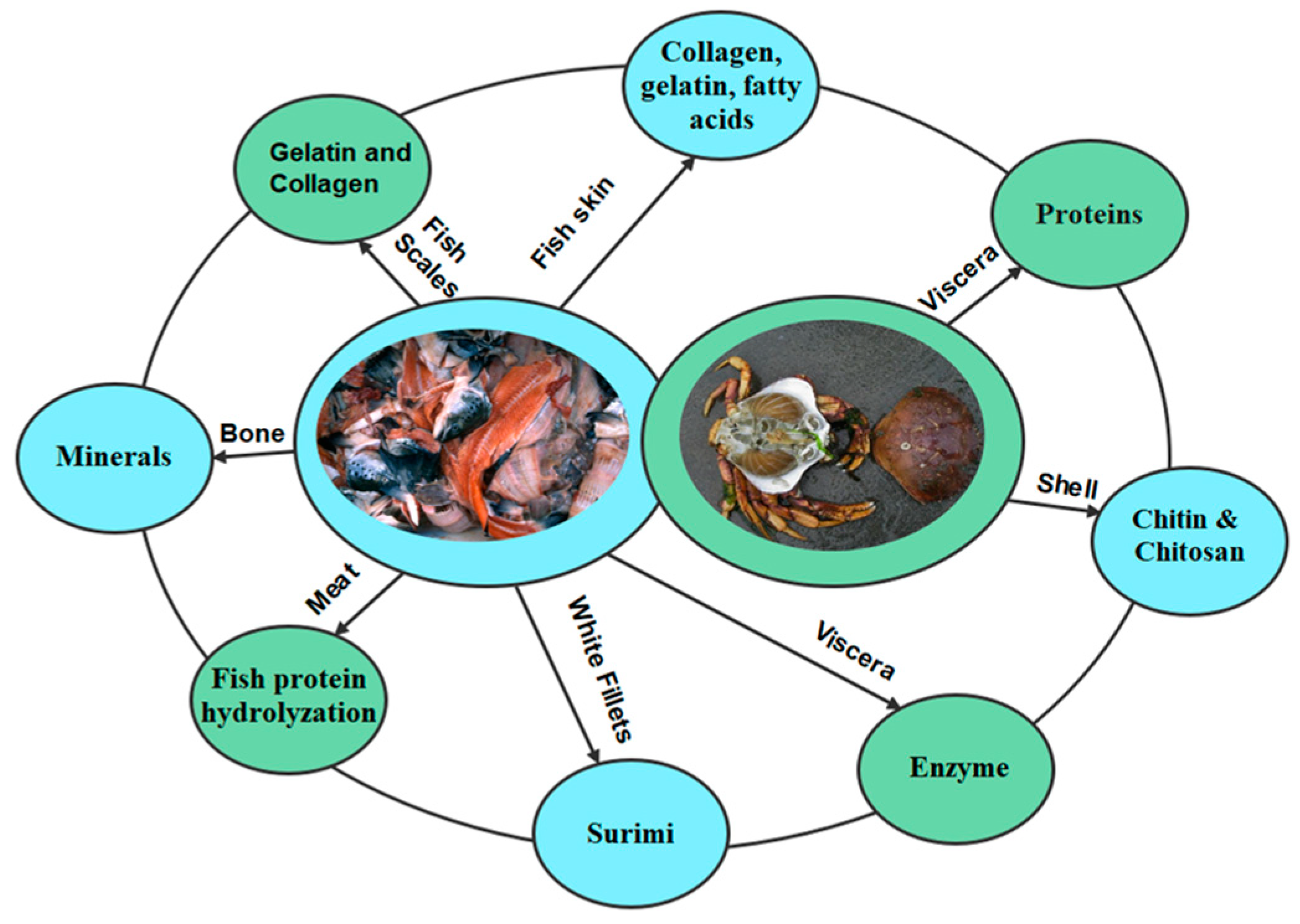 Marinedrugs 21 00485 g001