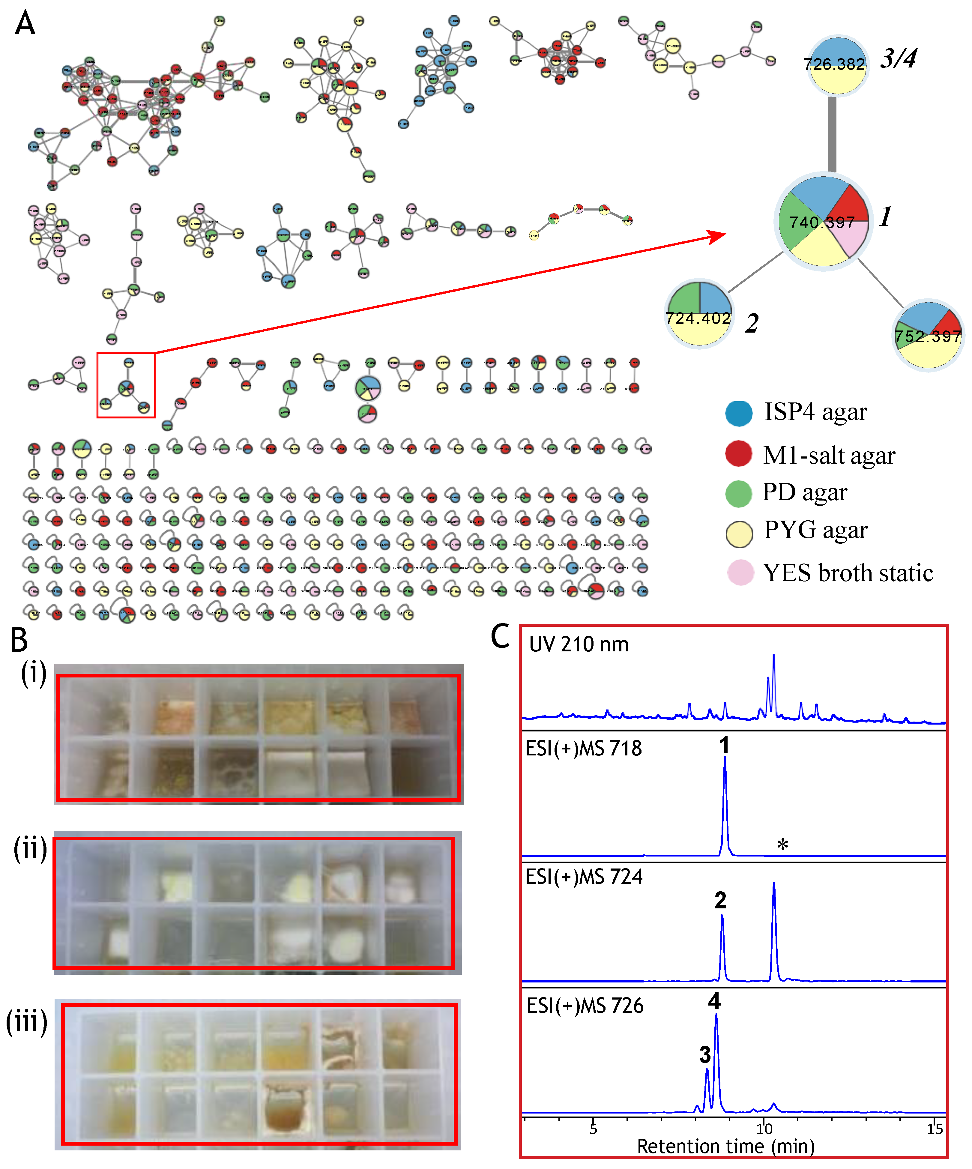 Marinedrugs 21 00487 g002