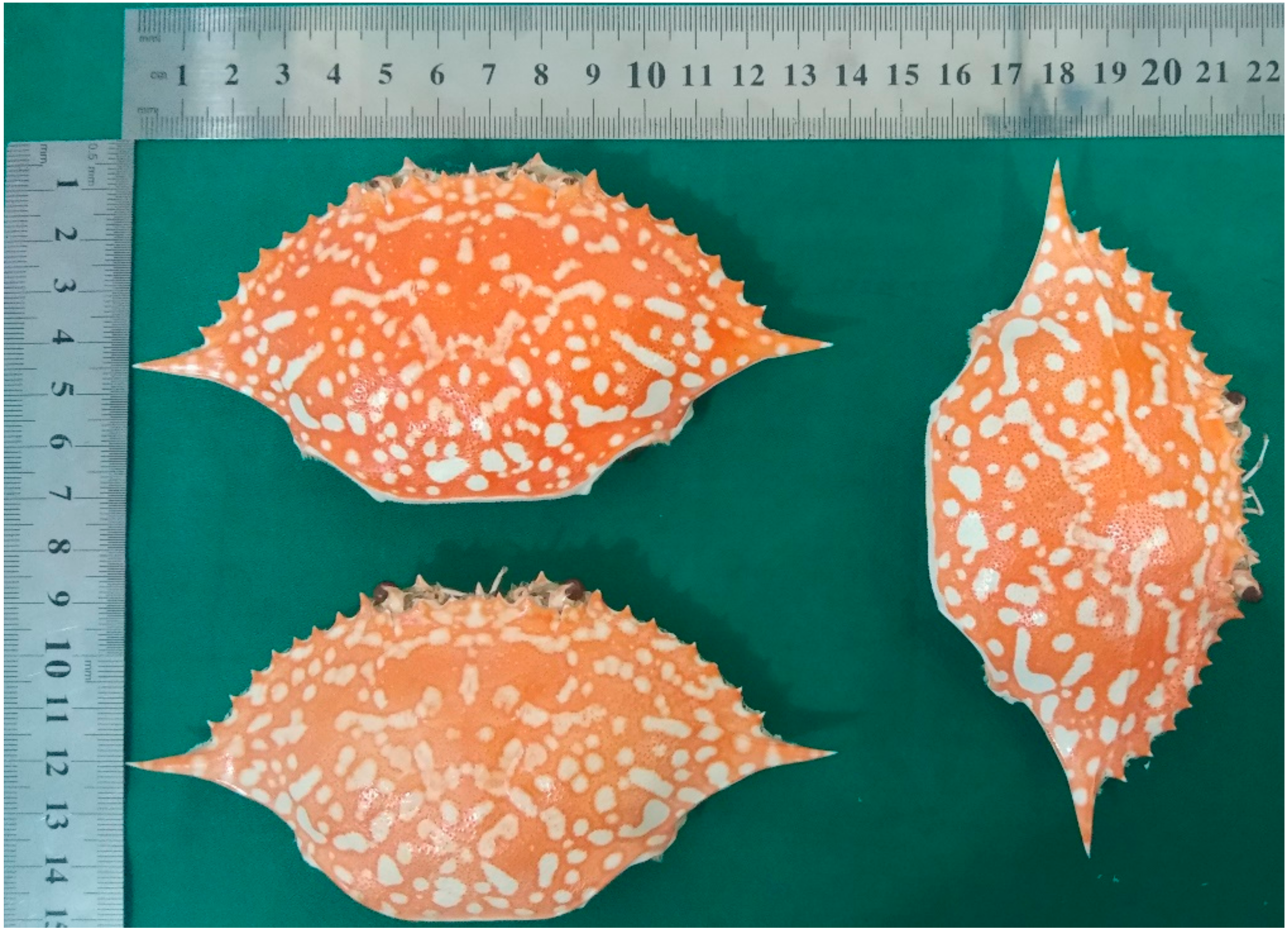 Marinedrugs 21 00488 g001