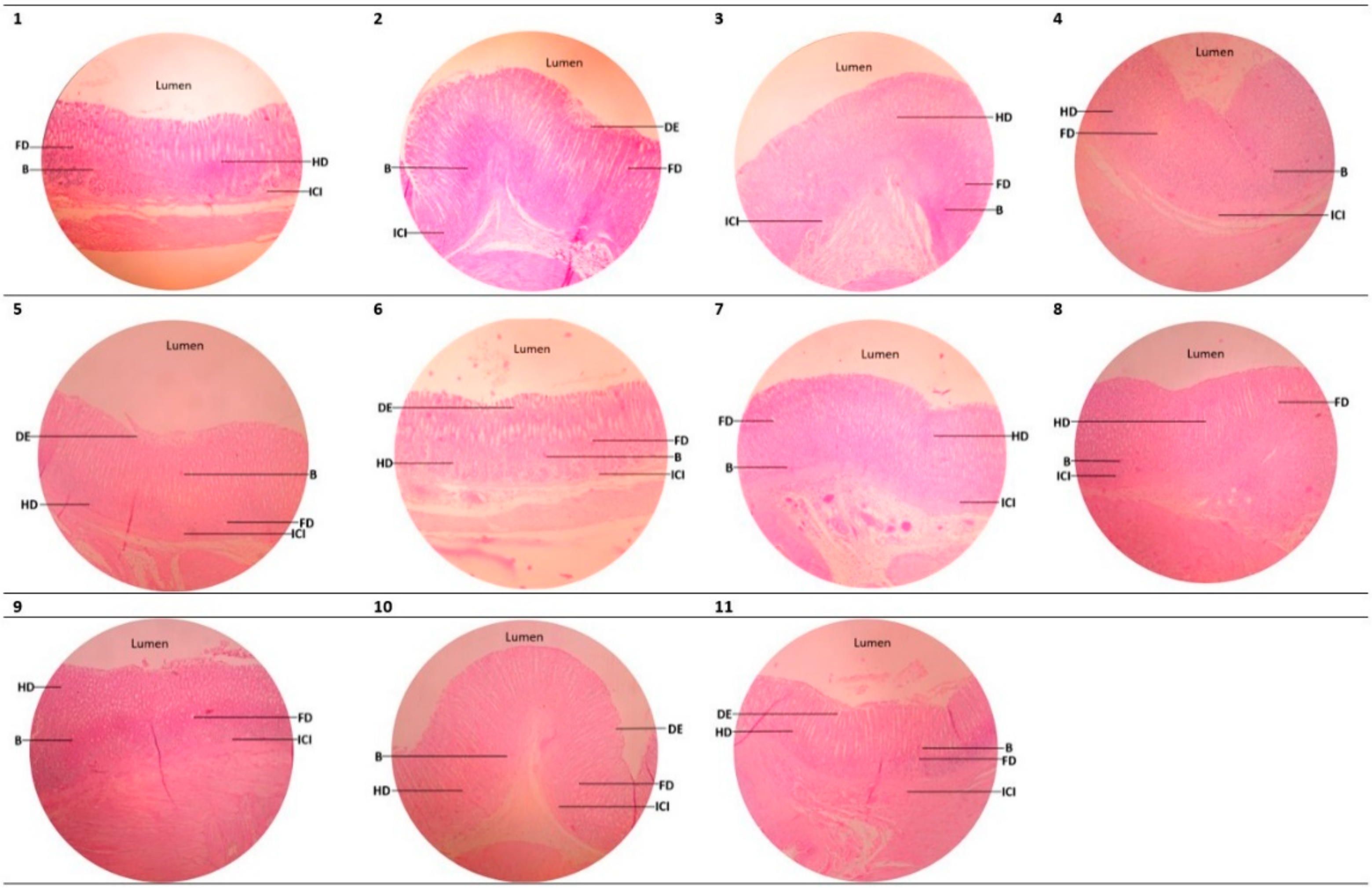 Marinedrugs 21 00488 g003