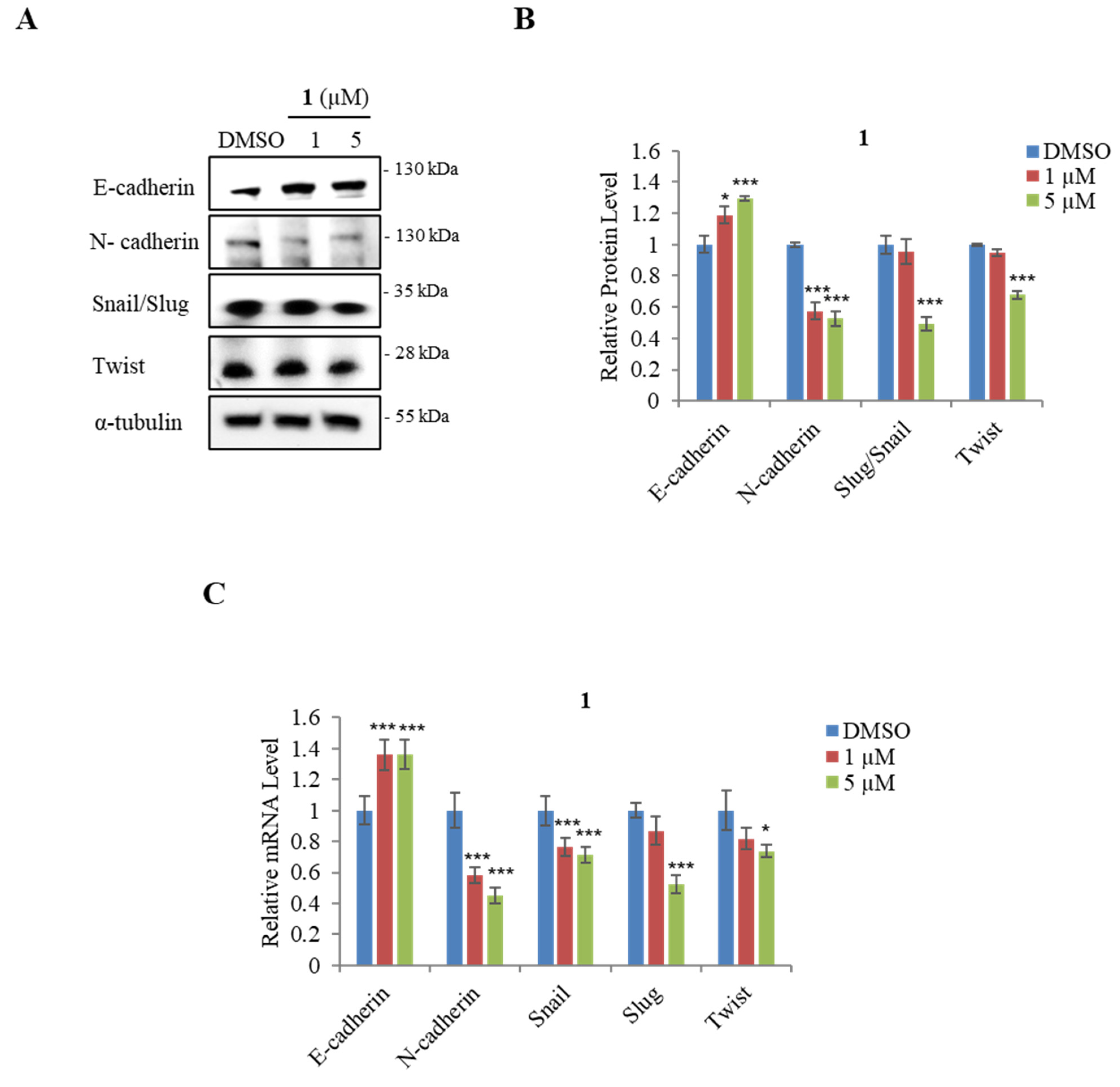 Marinedrugs 21 00489 g005