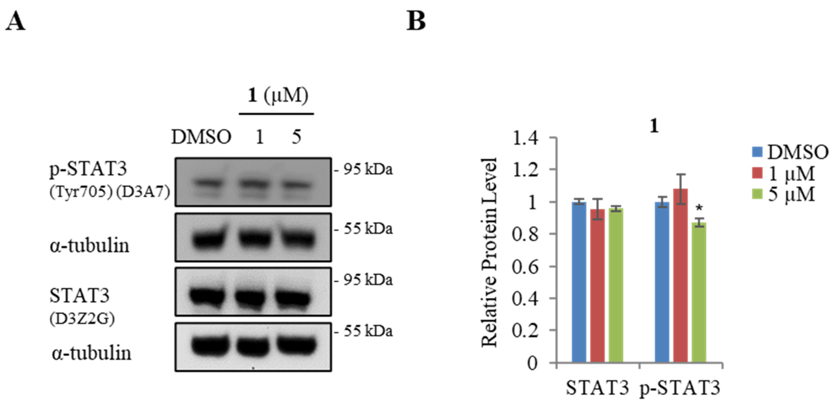 Marinedrugs 21 00489 g006