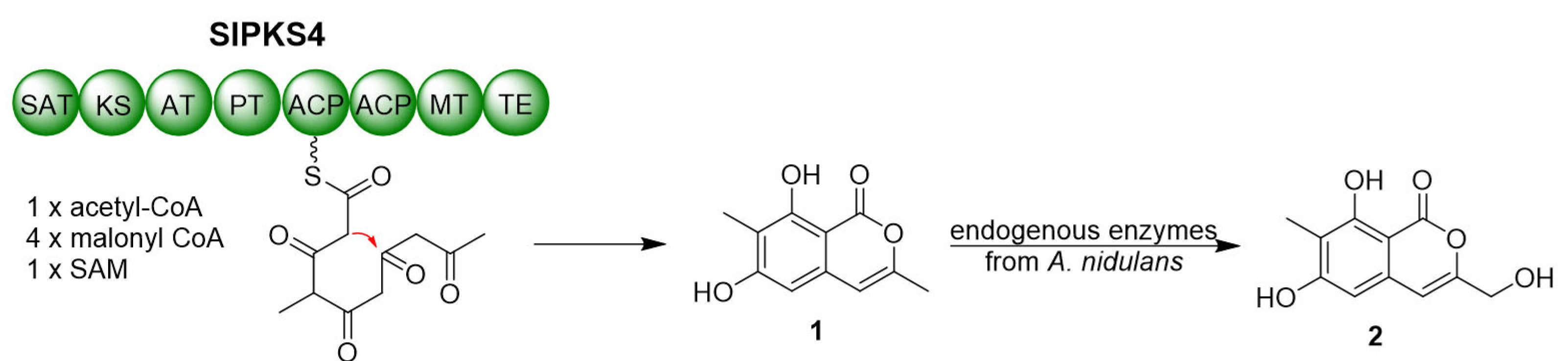 Marinedrugs 21 00490 g004