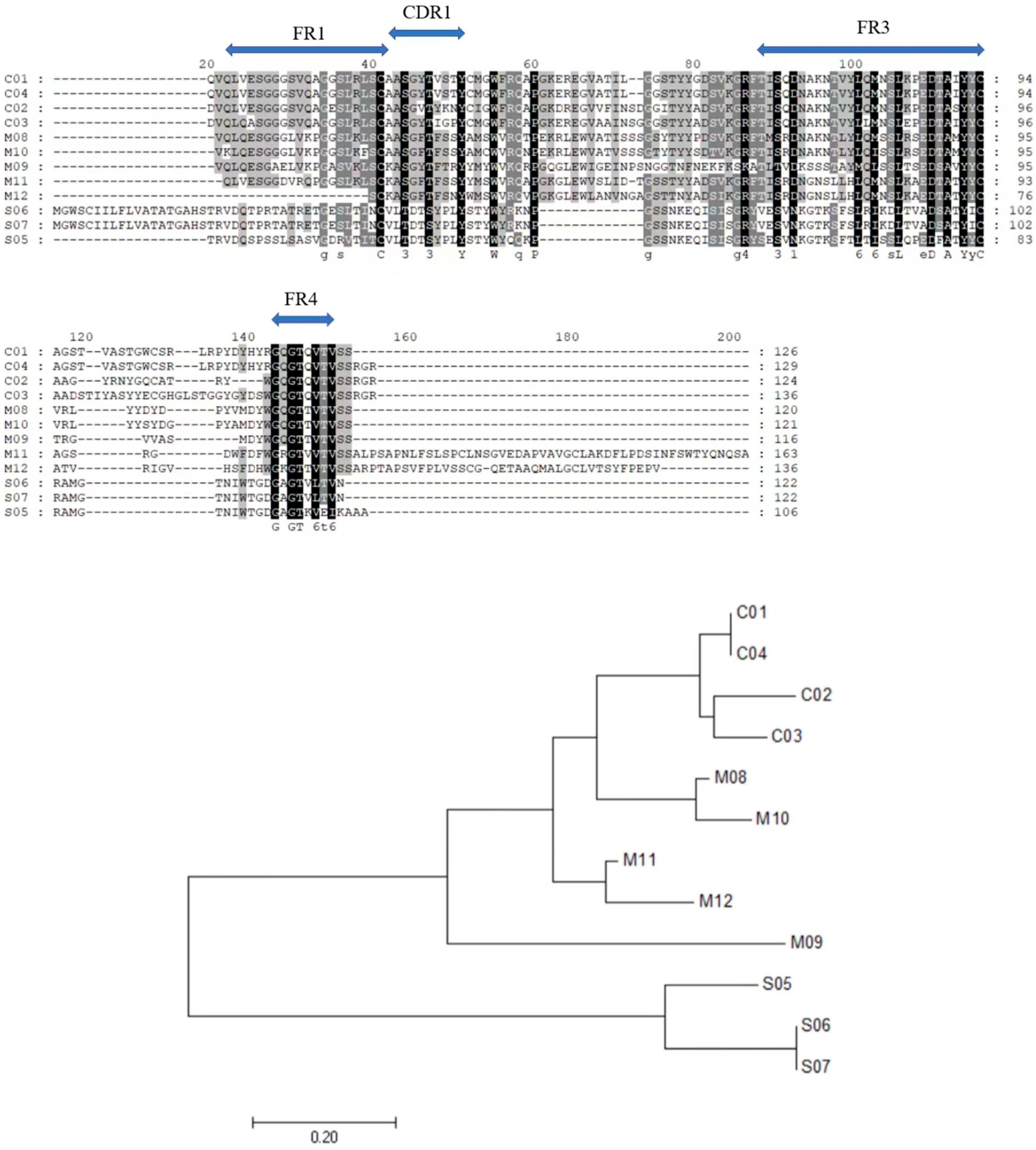 Marinedrugs 21 00496 g003