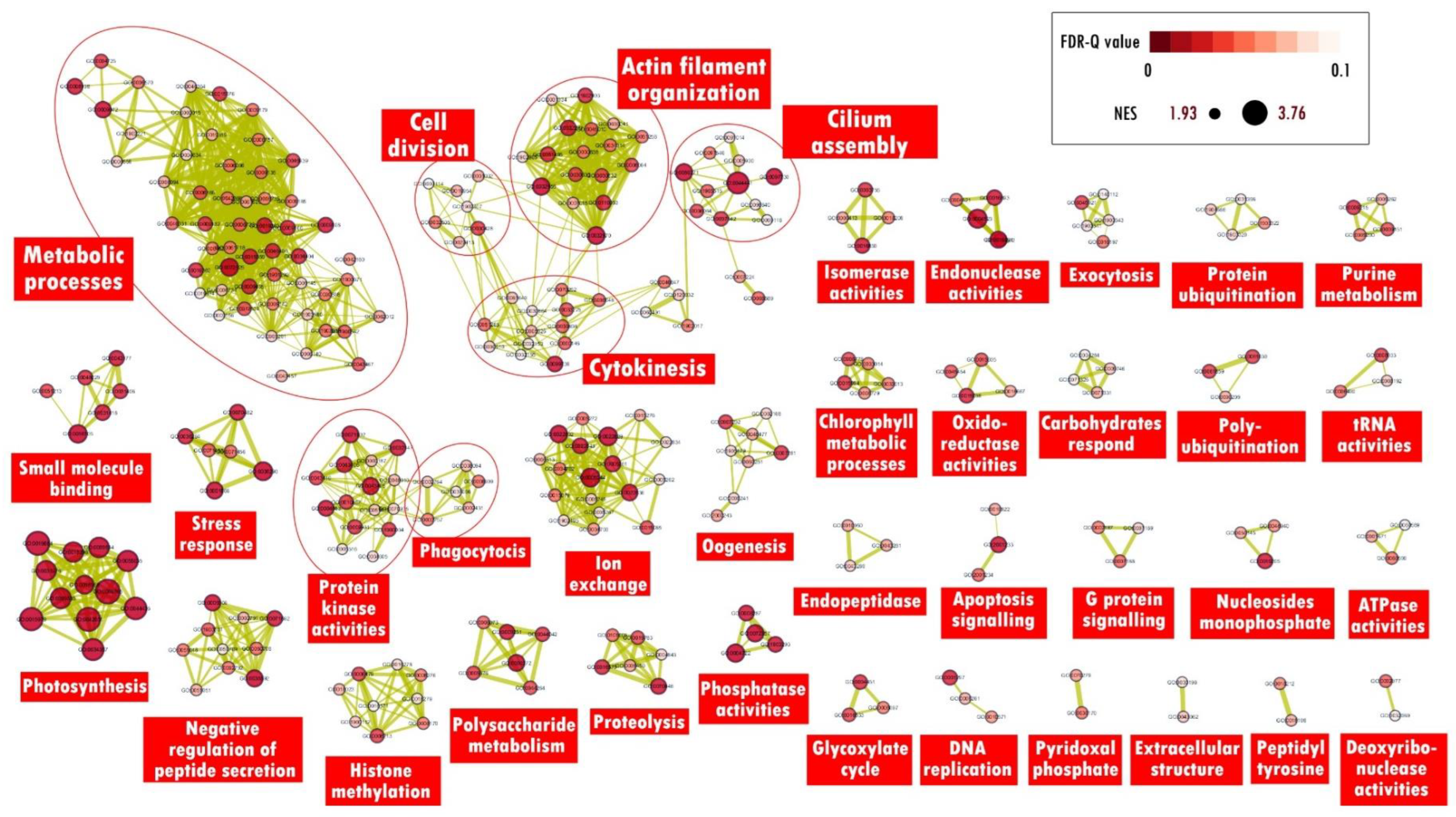 Marinedrugs 21 00497 g005