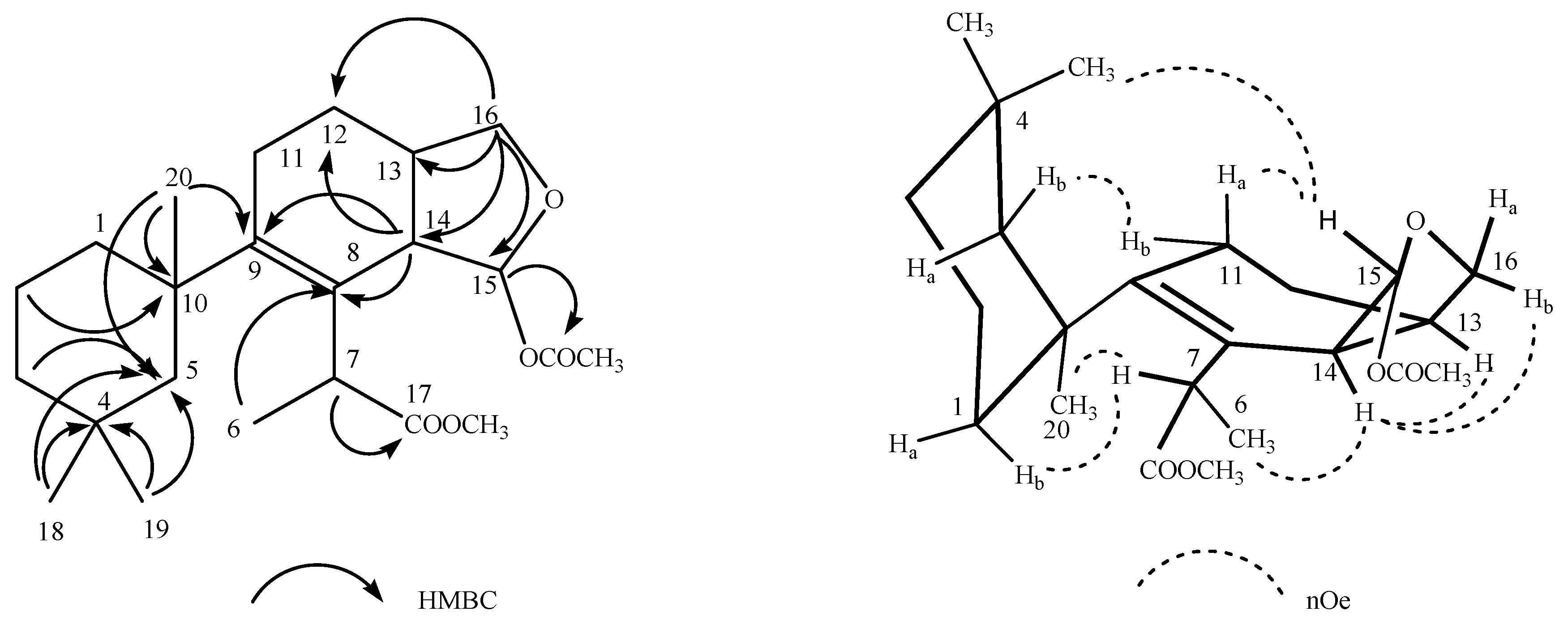 Marinedrugs 21 00499 g003