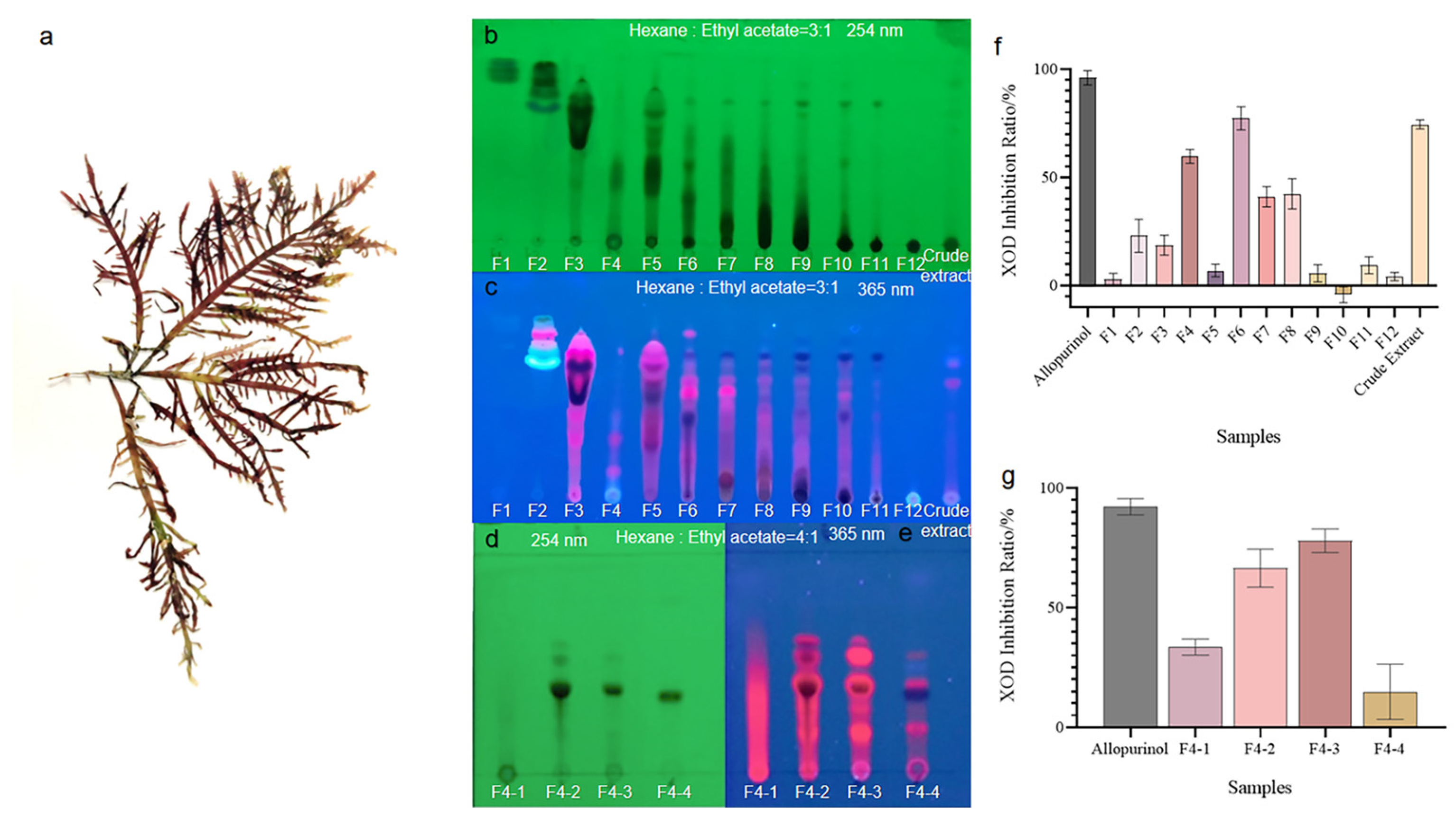 Marinedrugs 21 00502 g001 Marinedrugs 21 00502 g001