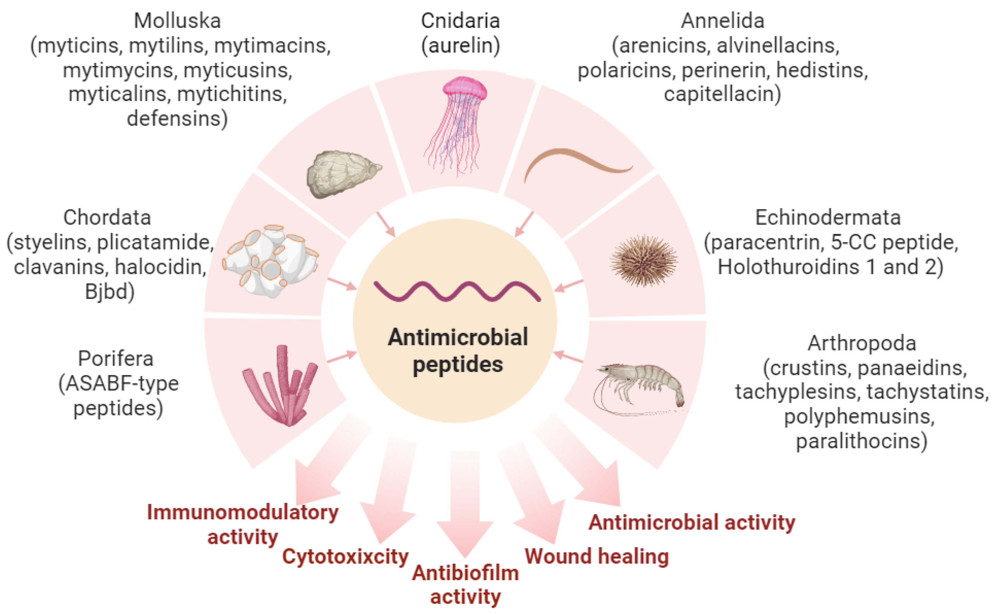 Marinedrugs 21 00503 g001