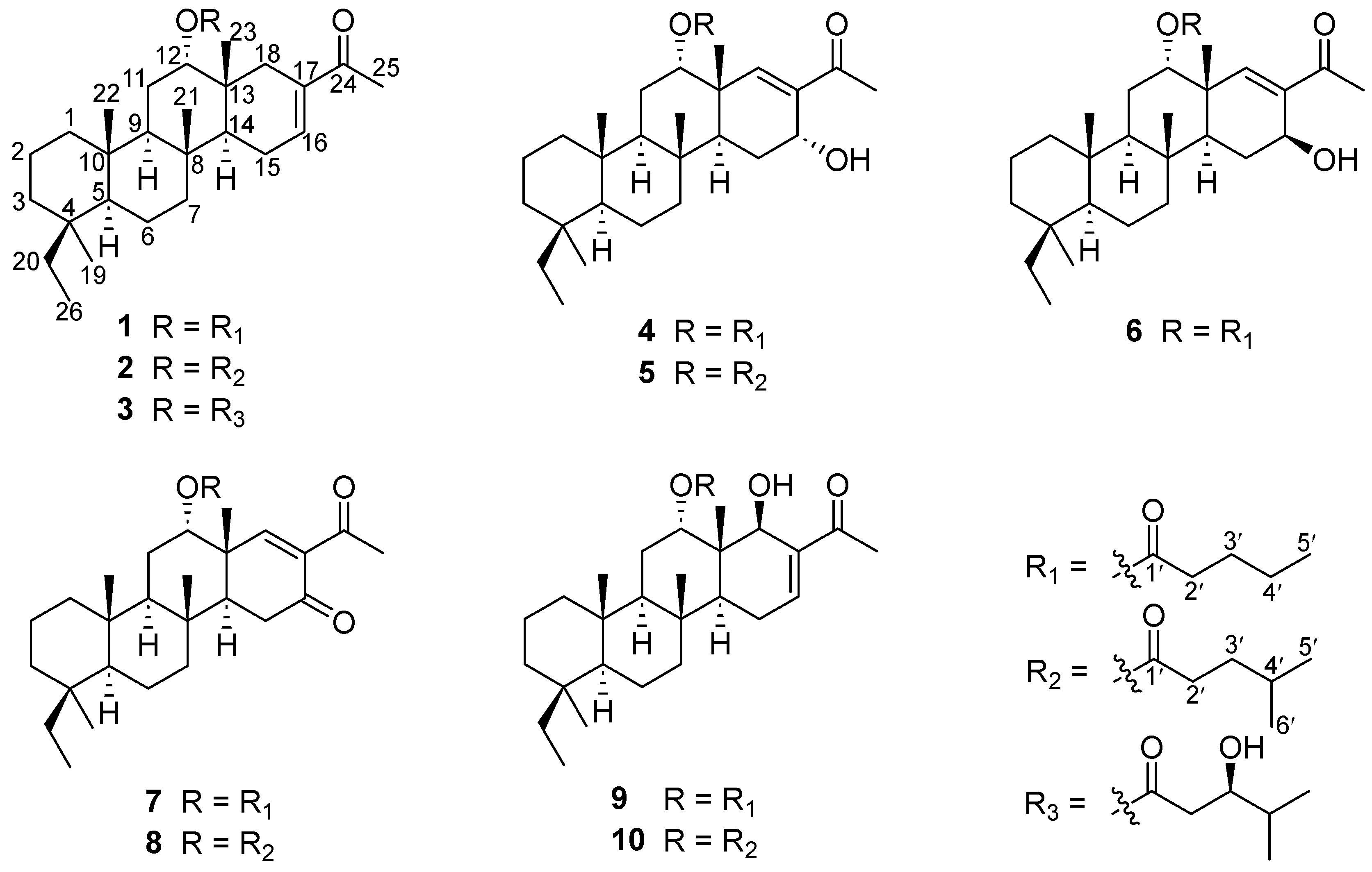 Marinedrugs 21 00507 g001