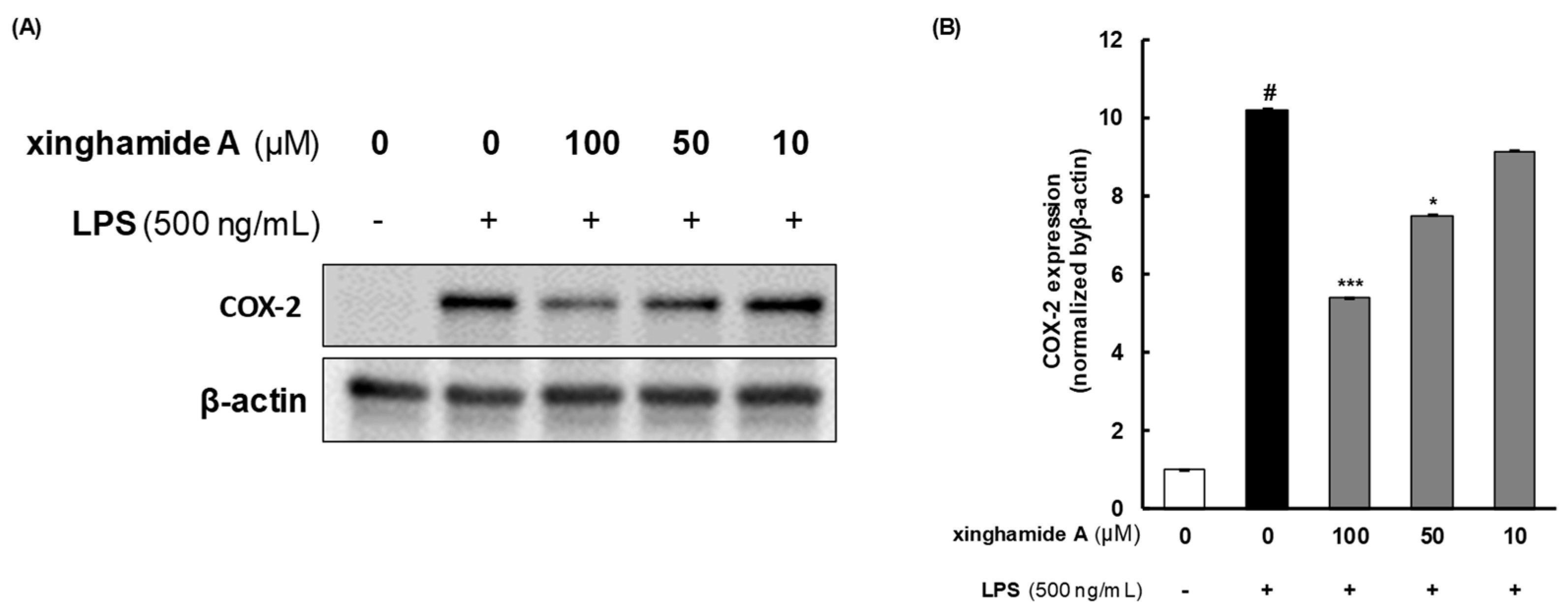 Marinedrugs 21 00509 g006