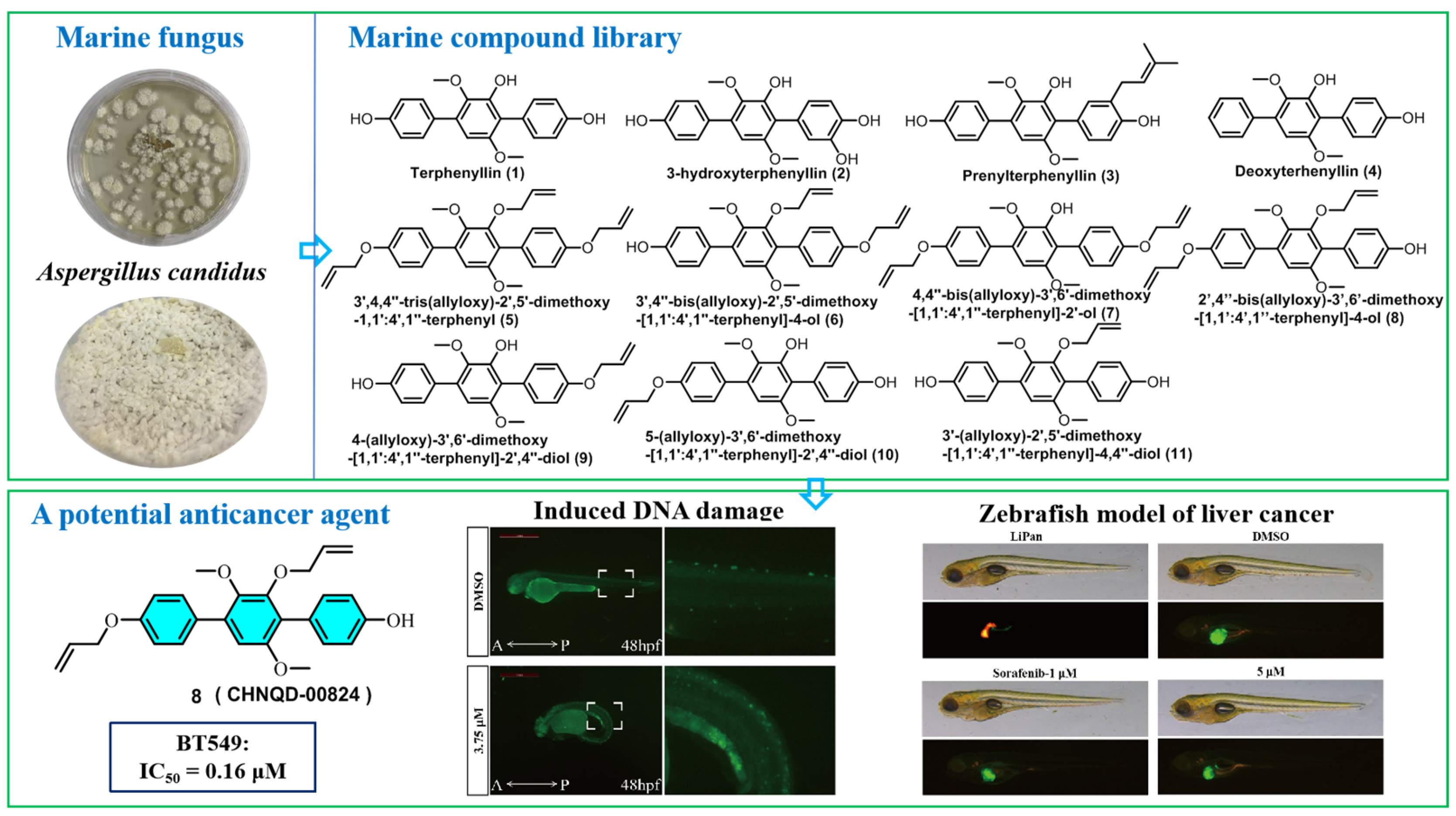 Marinedrugs 21 00512 g002