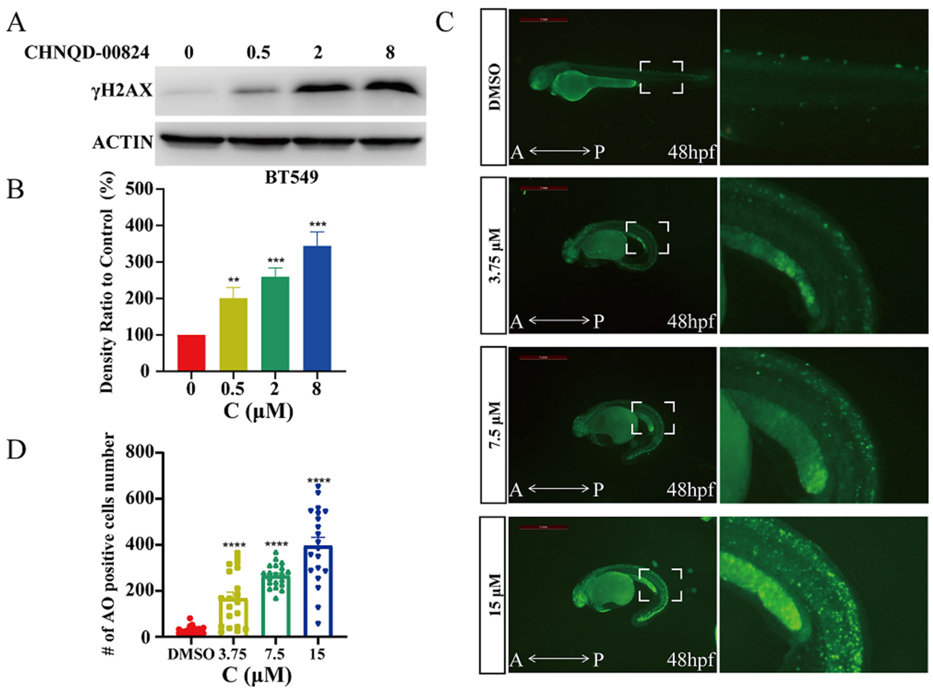 Marinedrugs 21 00512 g007