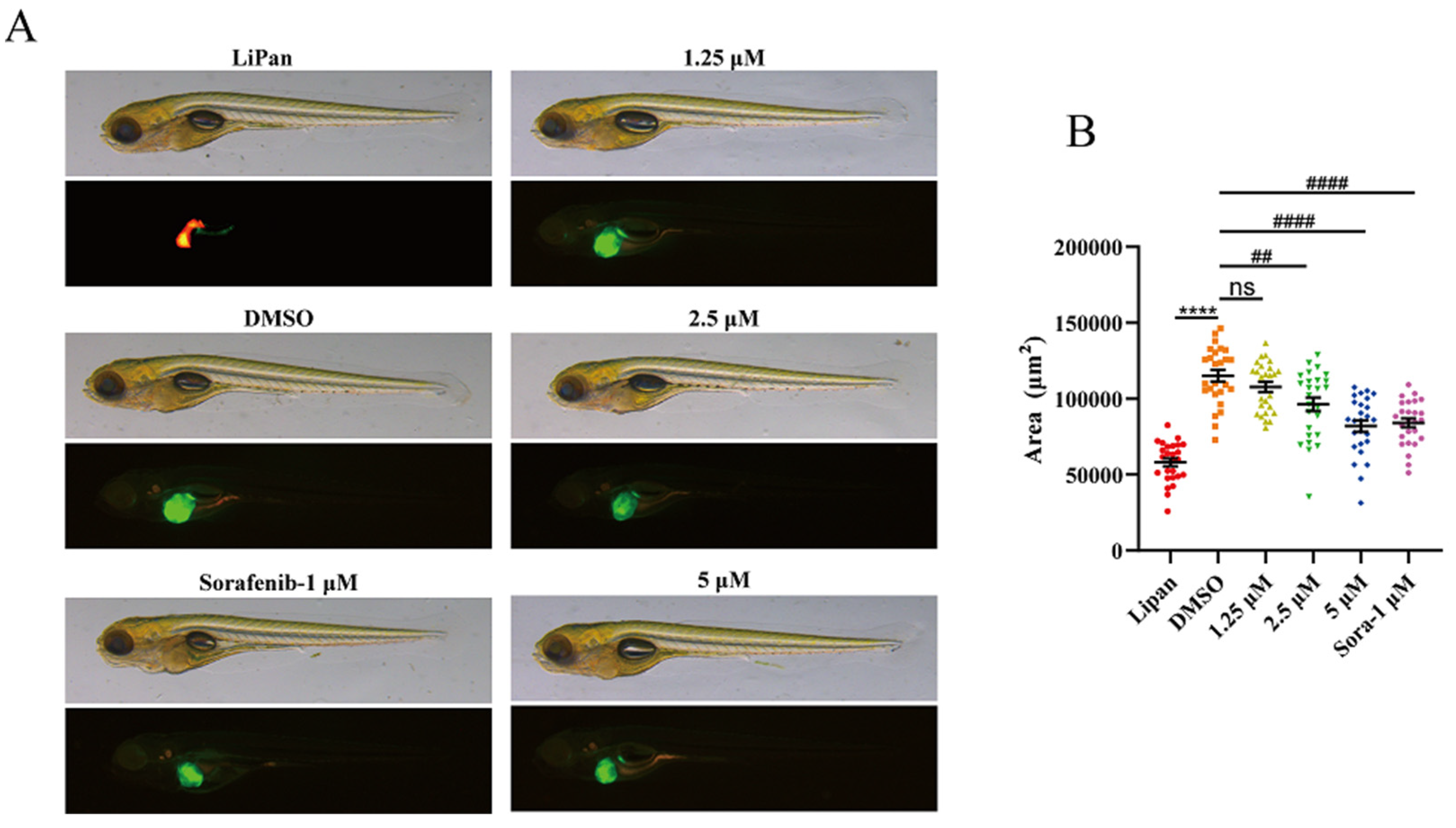 Marinedrugs 21 00512 g008