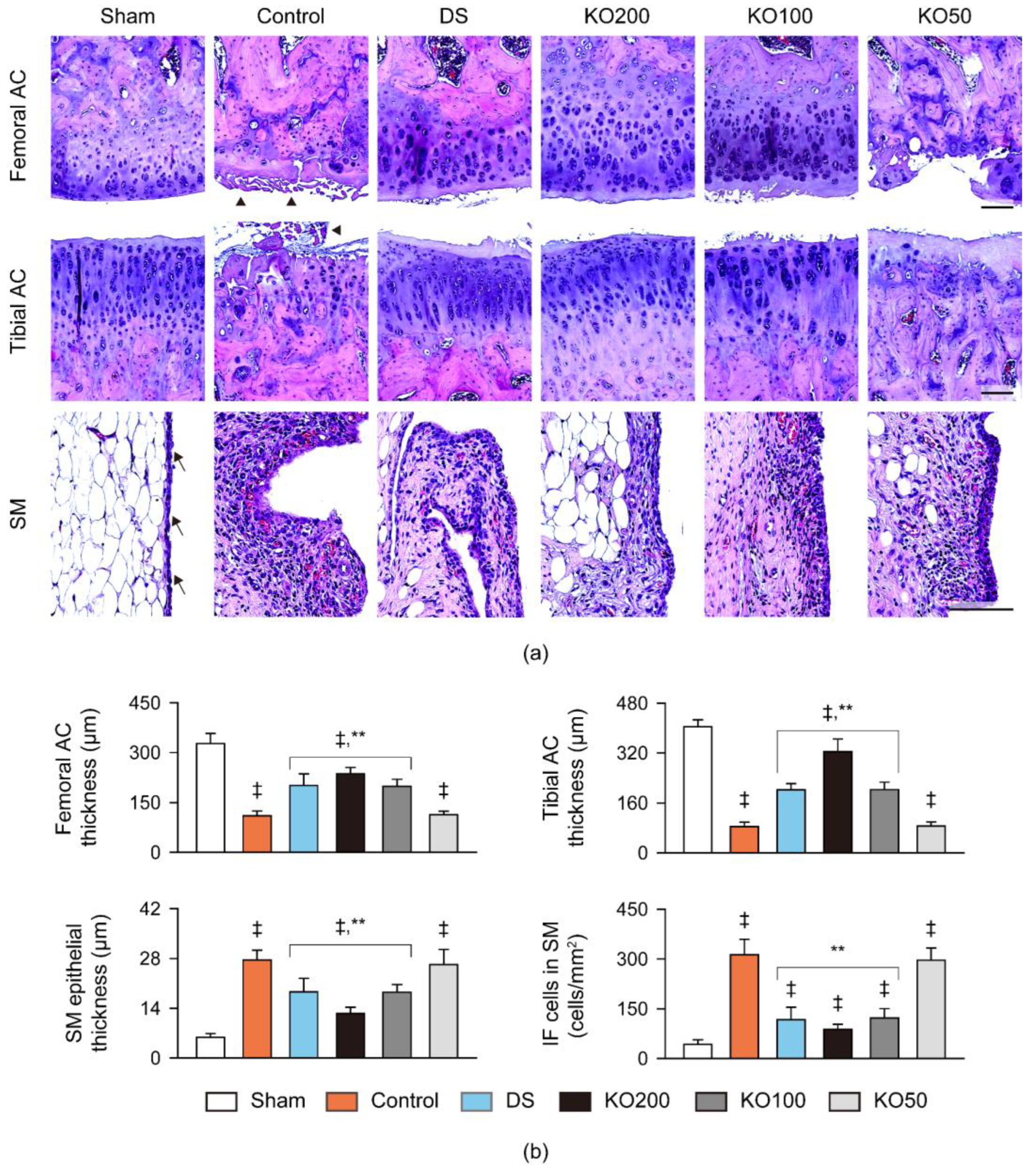 Marinedrugs 21 00513 g007