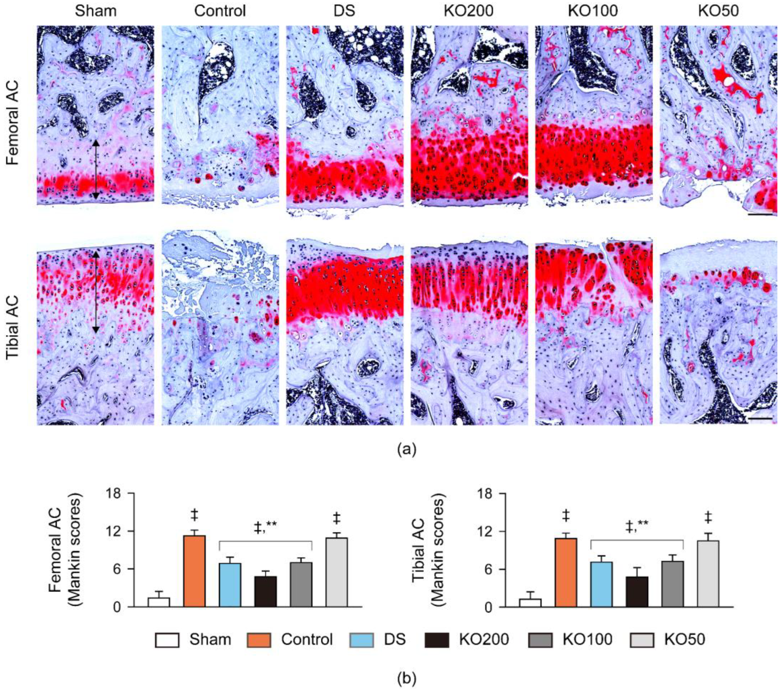 Marinedrugs 21 00513 g008
