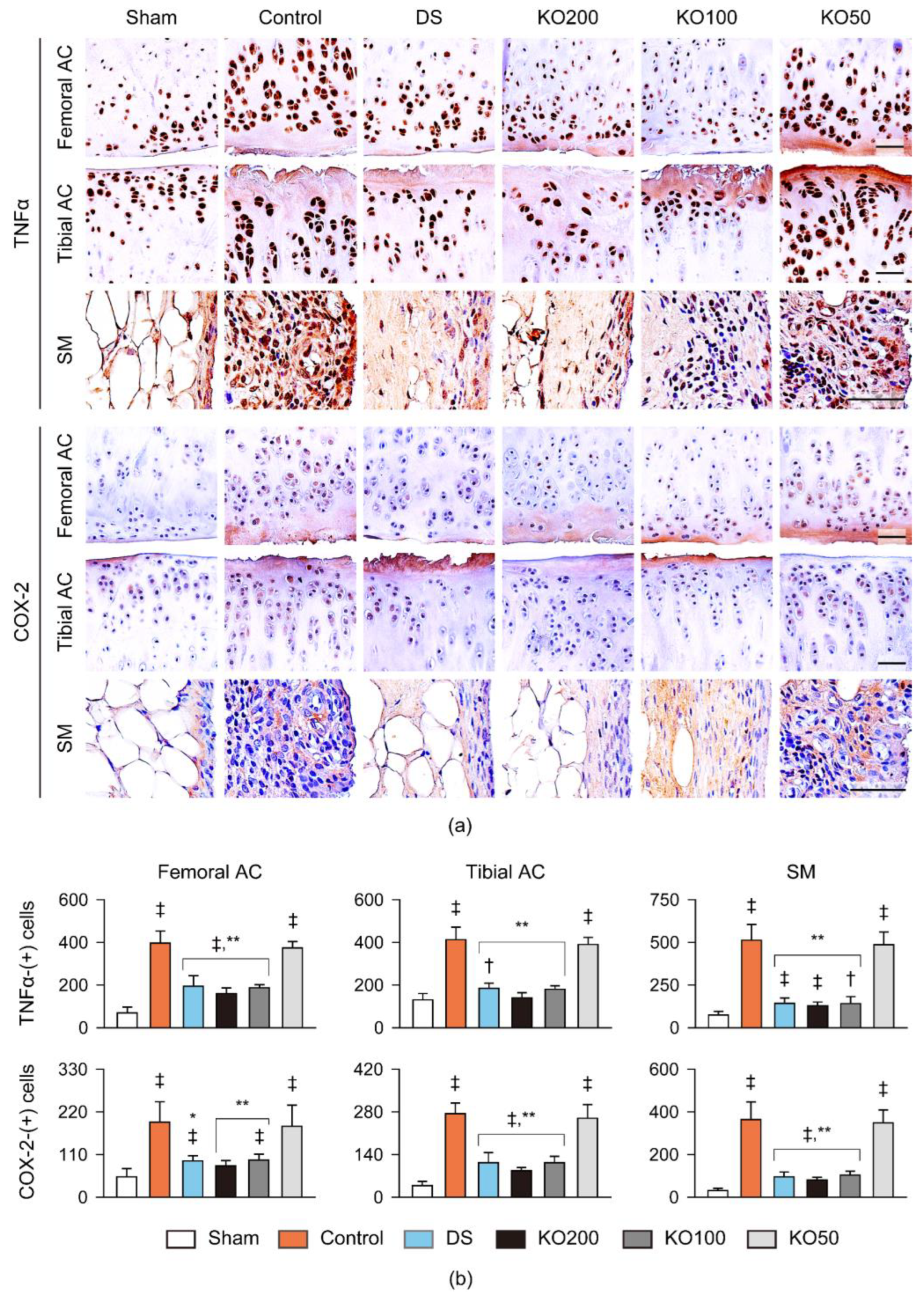 Marinedrugs 21 00513 g009