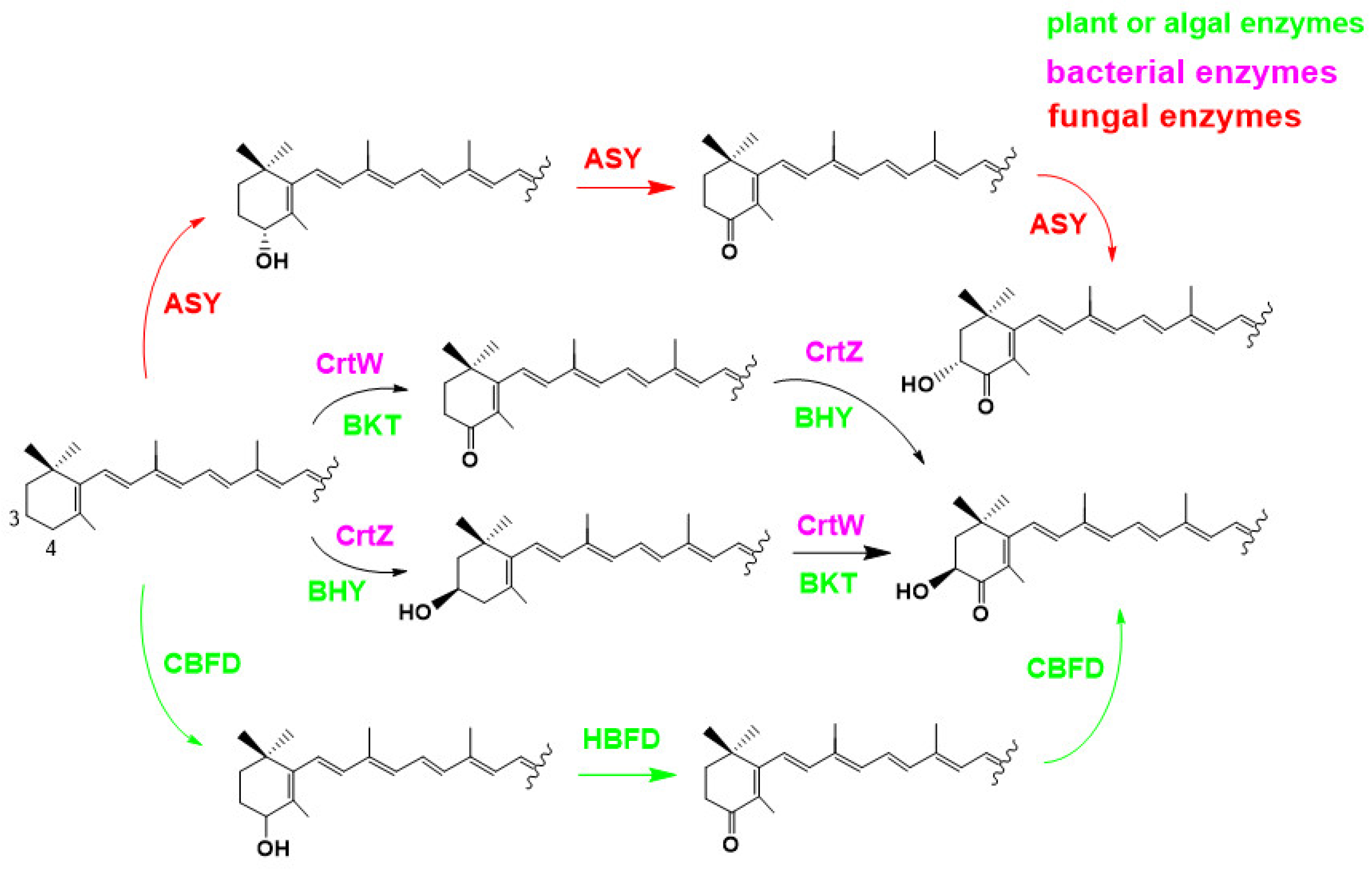 Marinedrugs 21 00514 g011