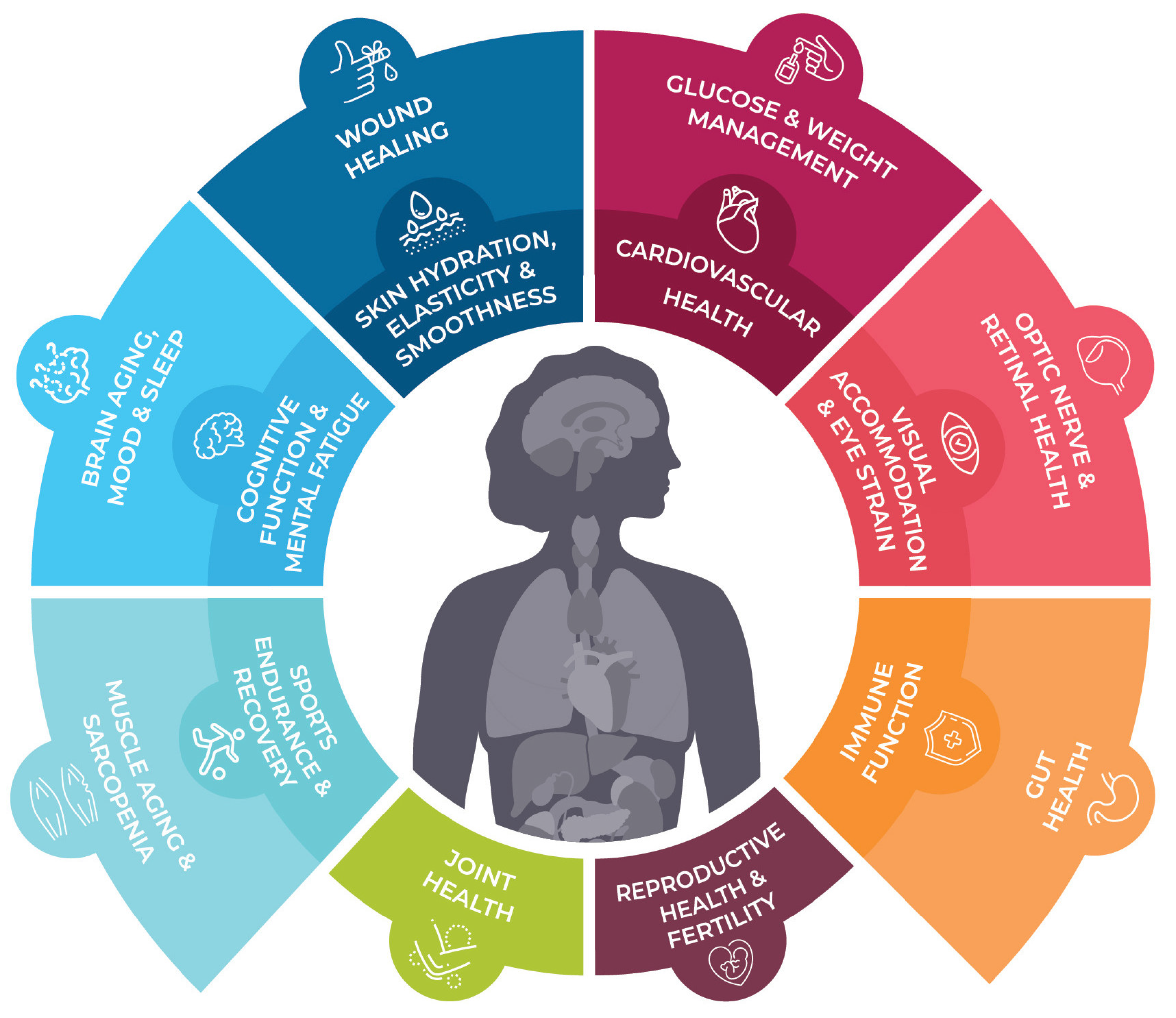 Marinedrugs 21 00514 g016