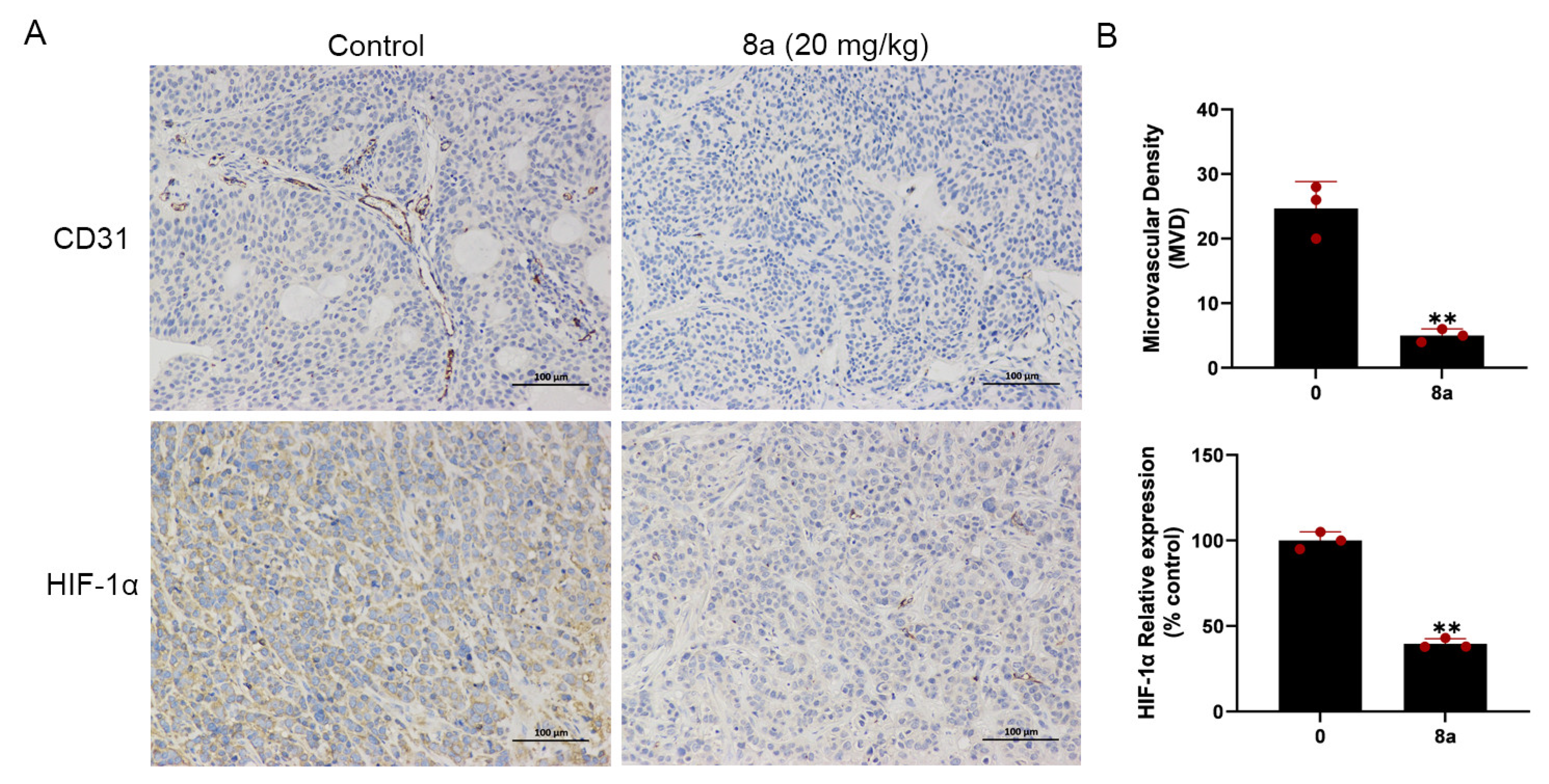 Marinedrugs 21 00517 g006 Marinedrugs 21 00517 g006