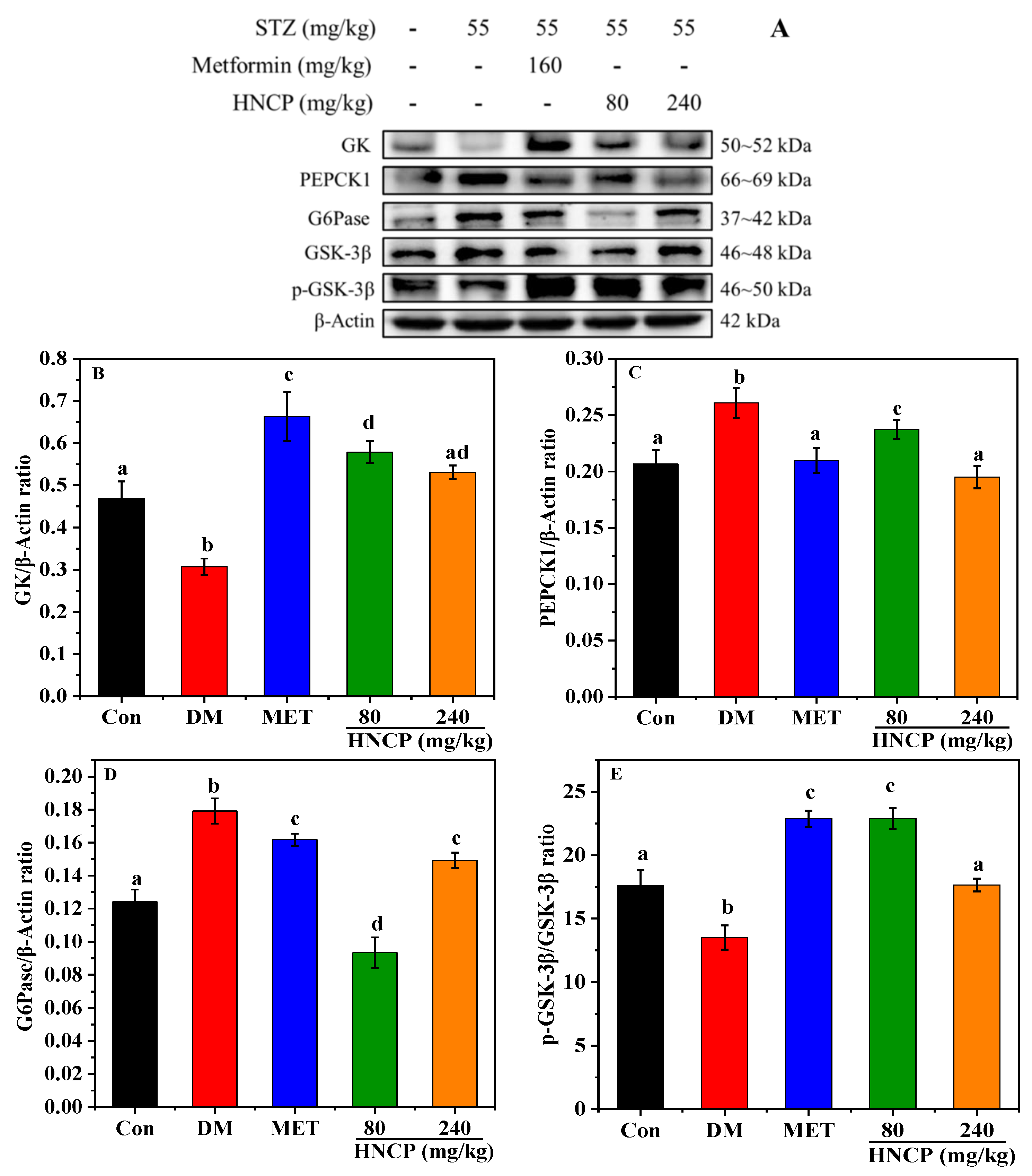 Marinedrugs 21 00518 g007