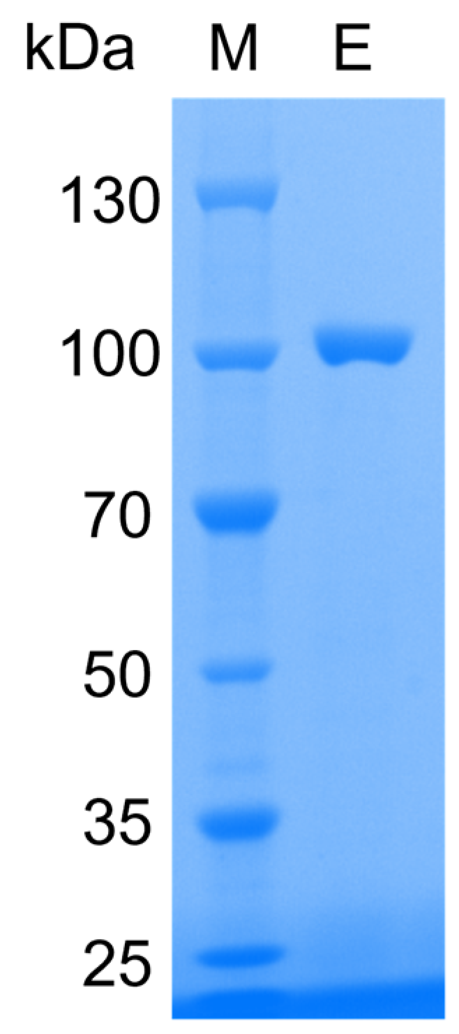 Marinedrugs 21 00521 g003