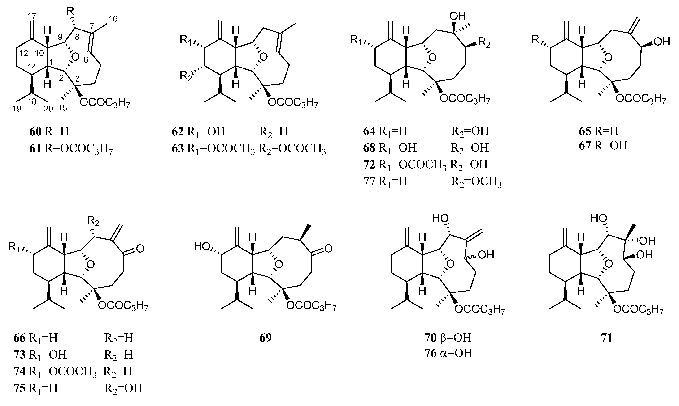 Marinedrugs 21 00523 g021