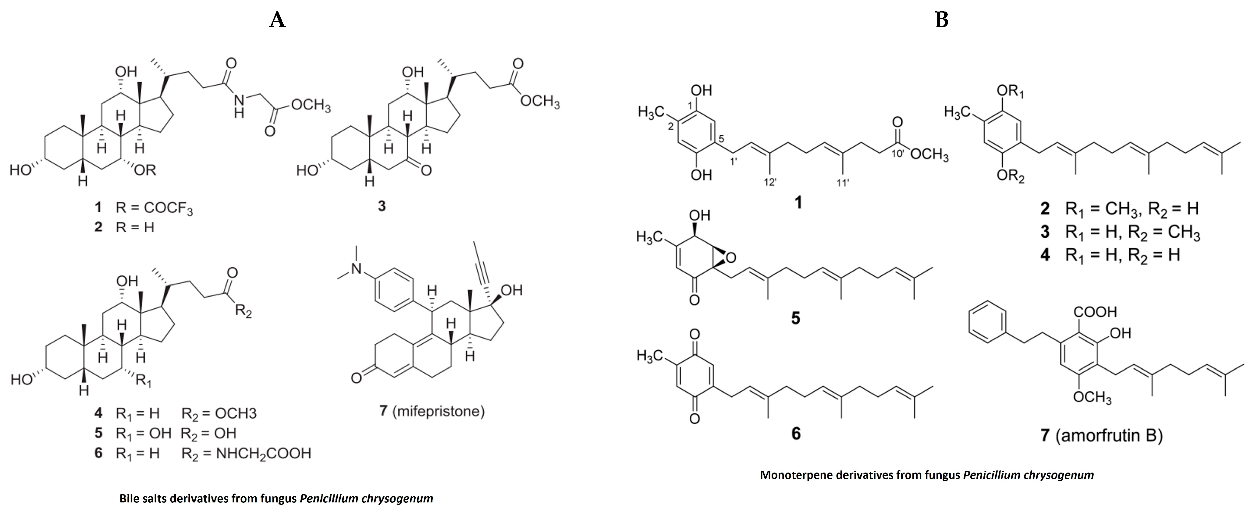 Marinedrugs 21 00524 g008