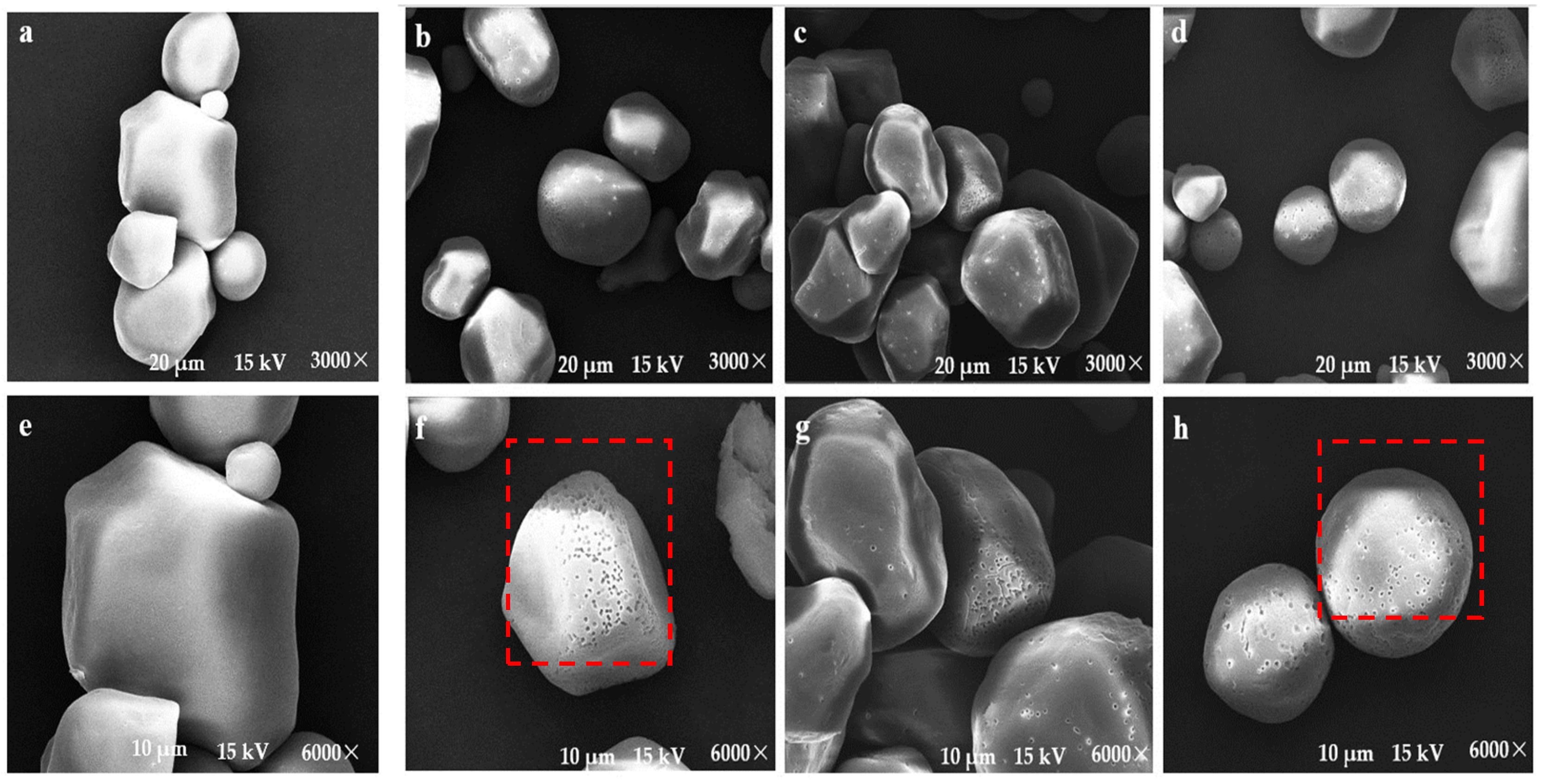 Marinedrugs 21 00528 g009