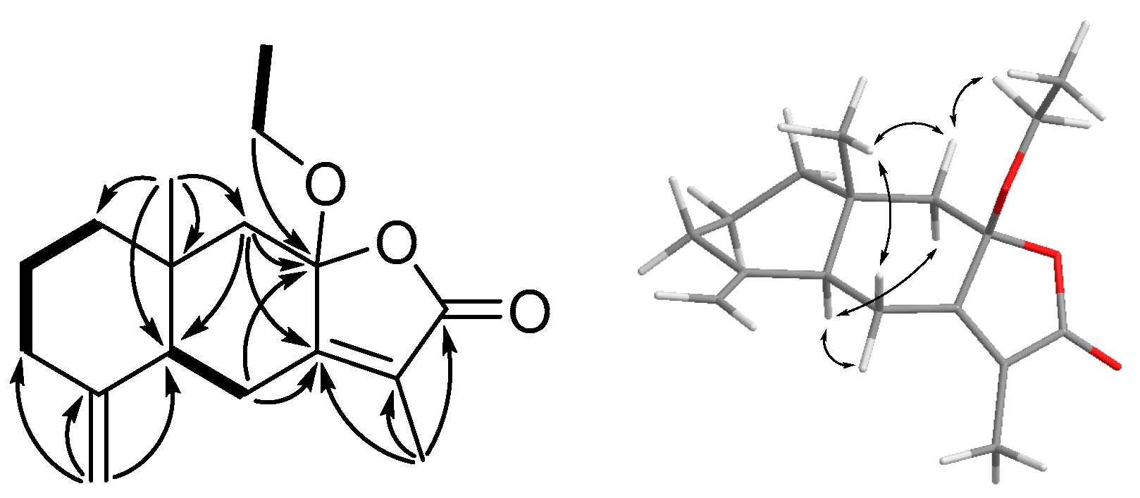 Marinedrugs 21 00529 g002