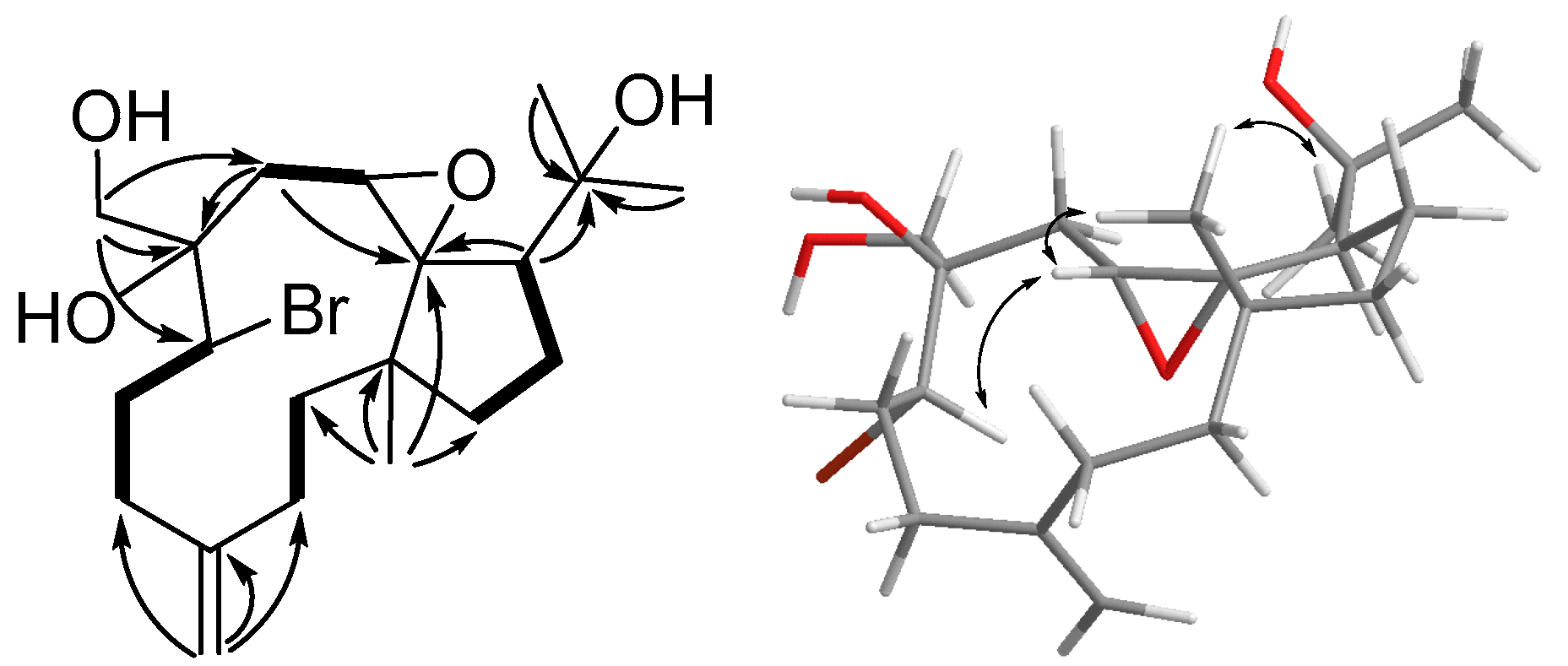 Marinedrugs 21 00529 g004