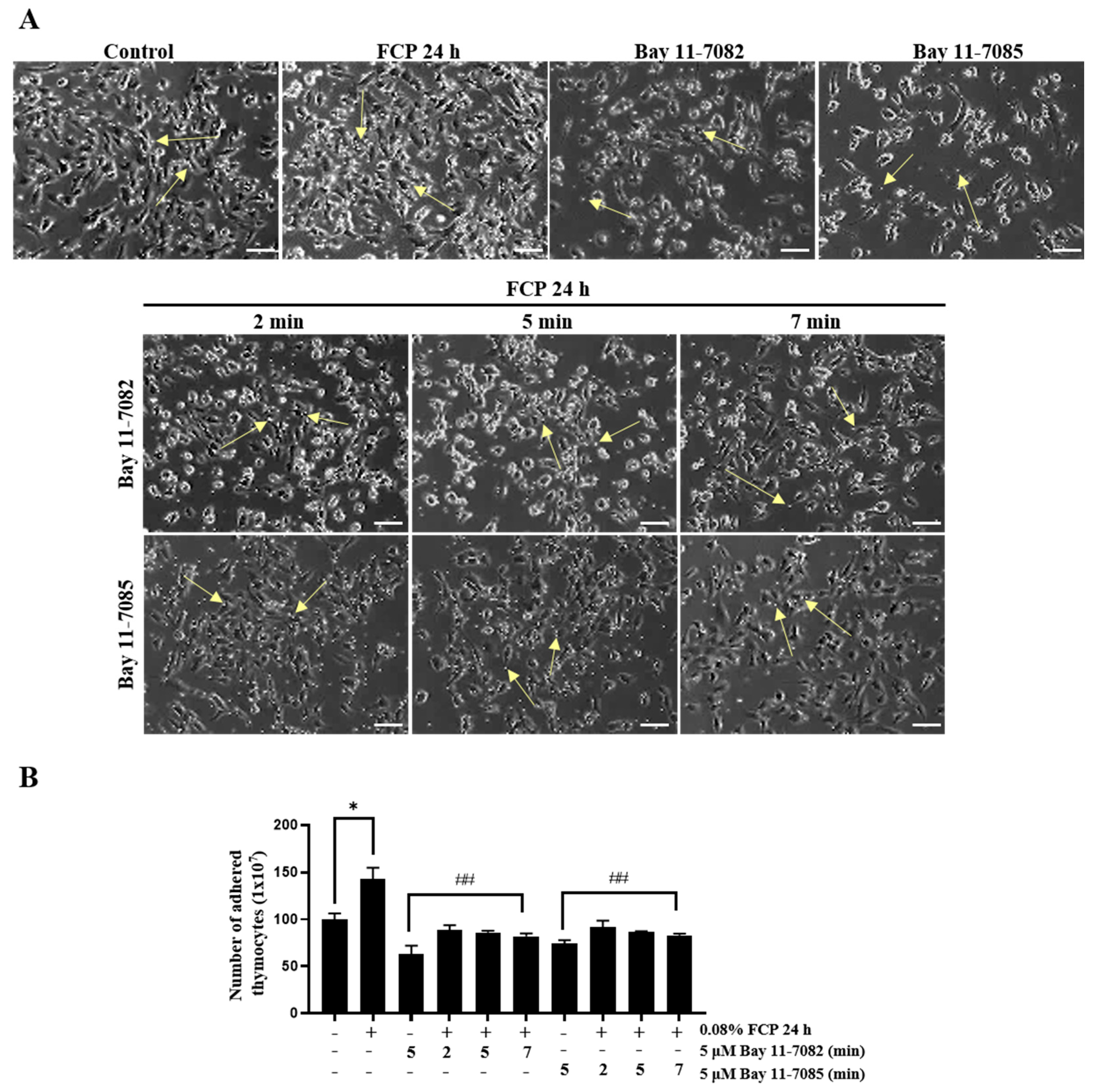 Marinedrugs 21 00531 g004