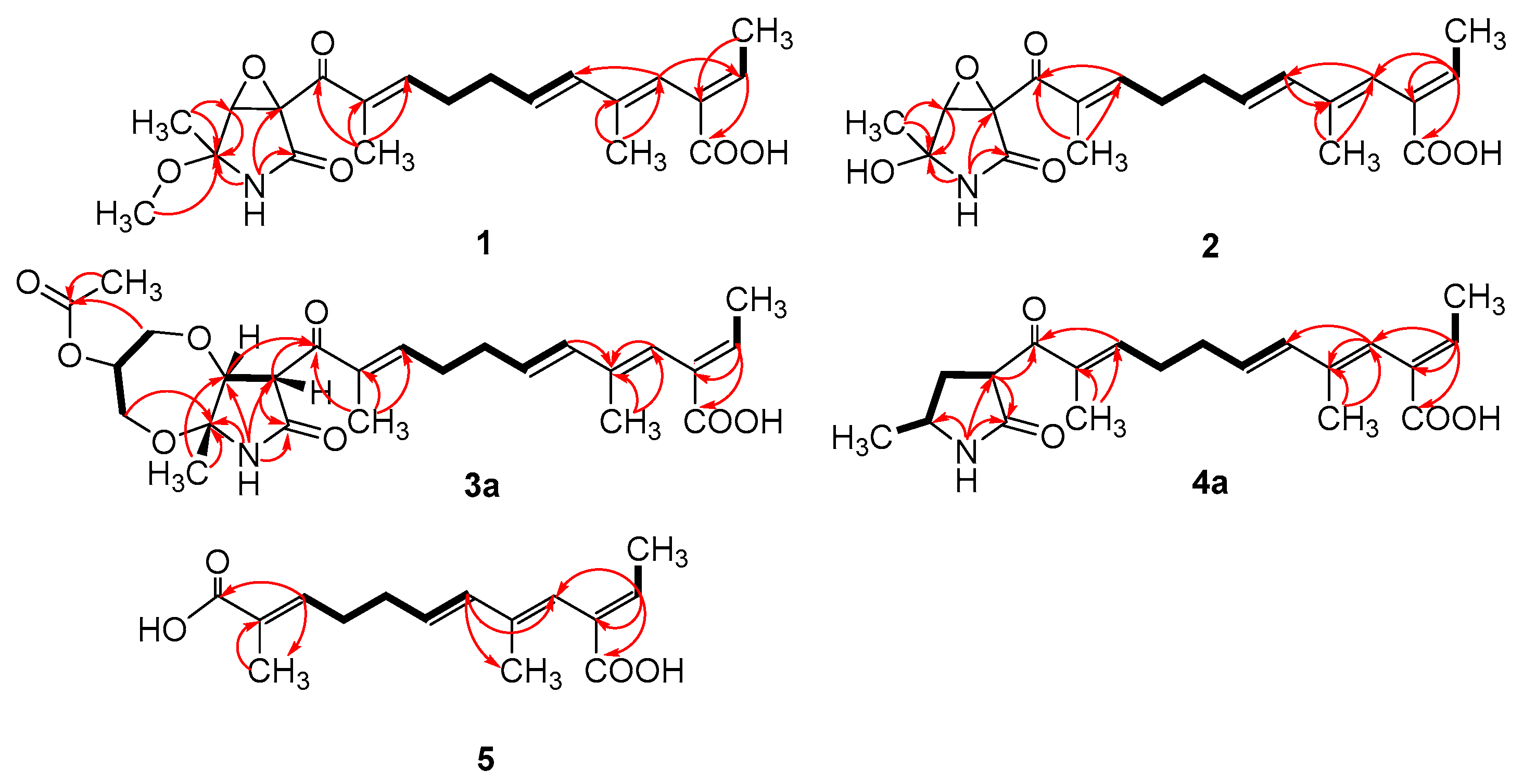 Marinedrugs 21 00532 g003
