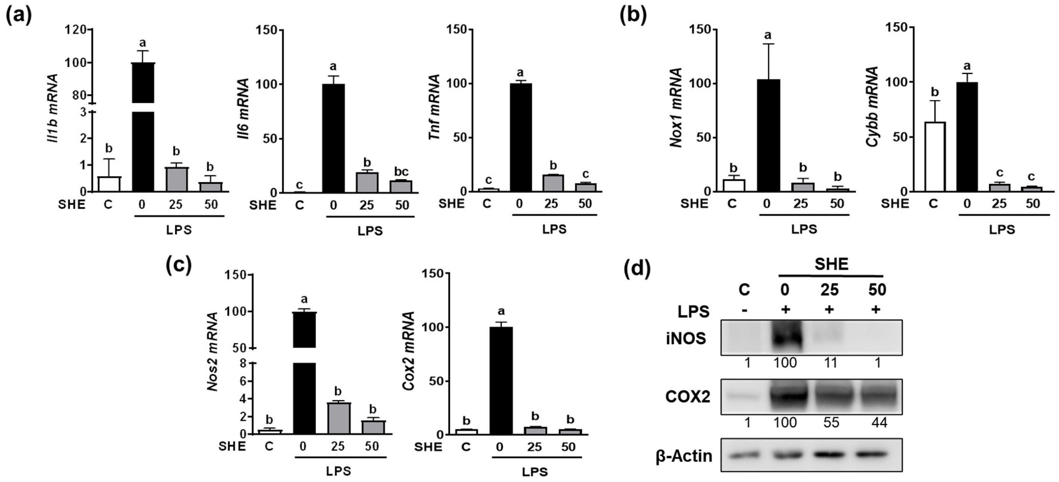 Marinedrugs 21 00533 g002