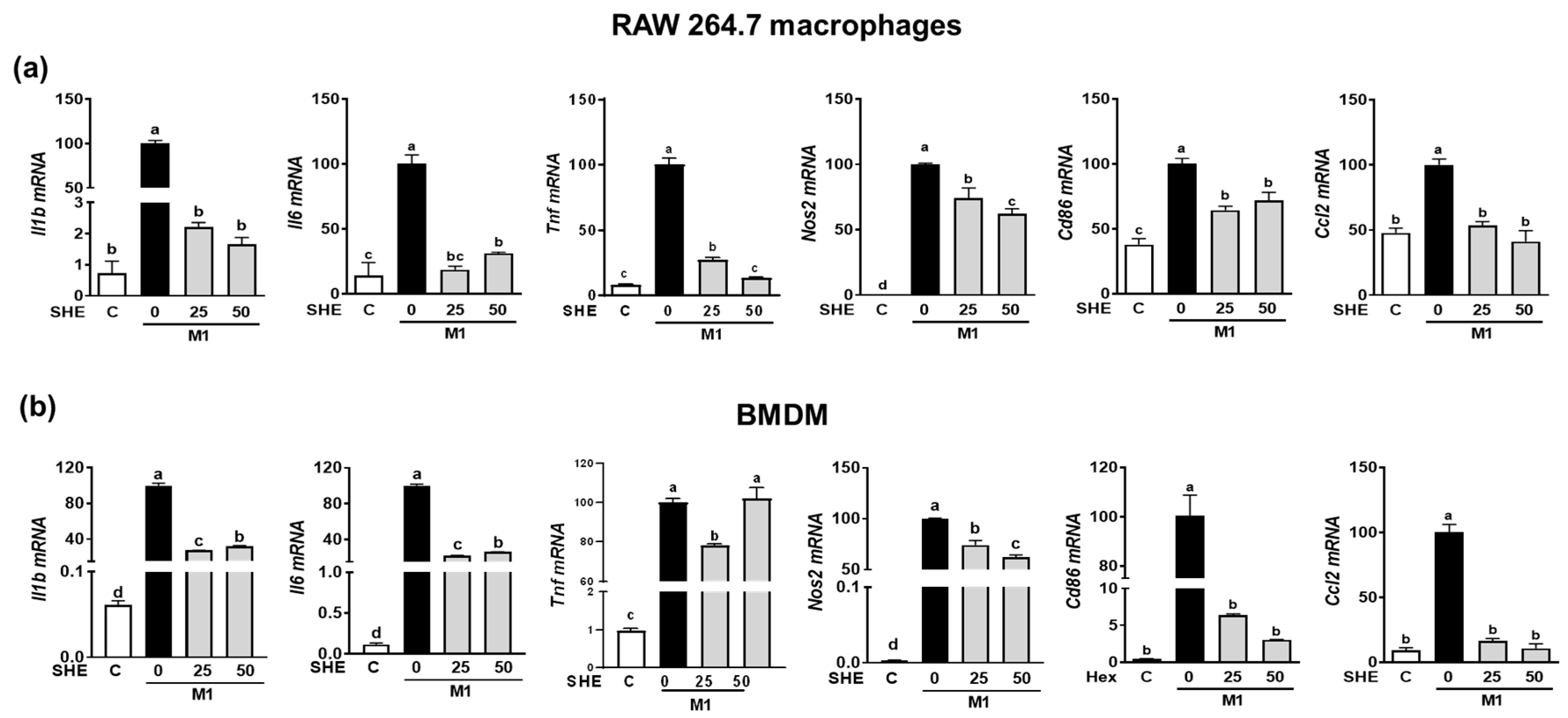 Marinedrugs 21 00533 g004