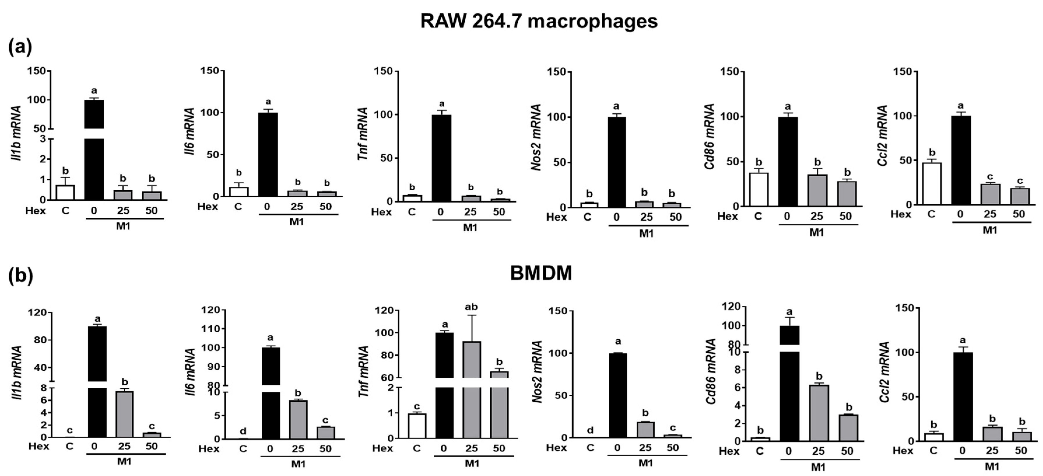 Marinedrugs 21 00533 g005