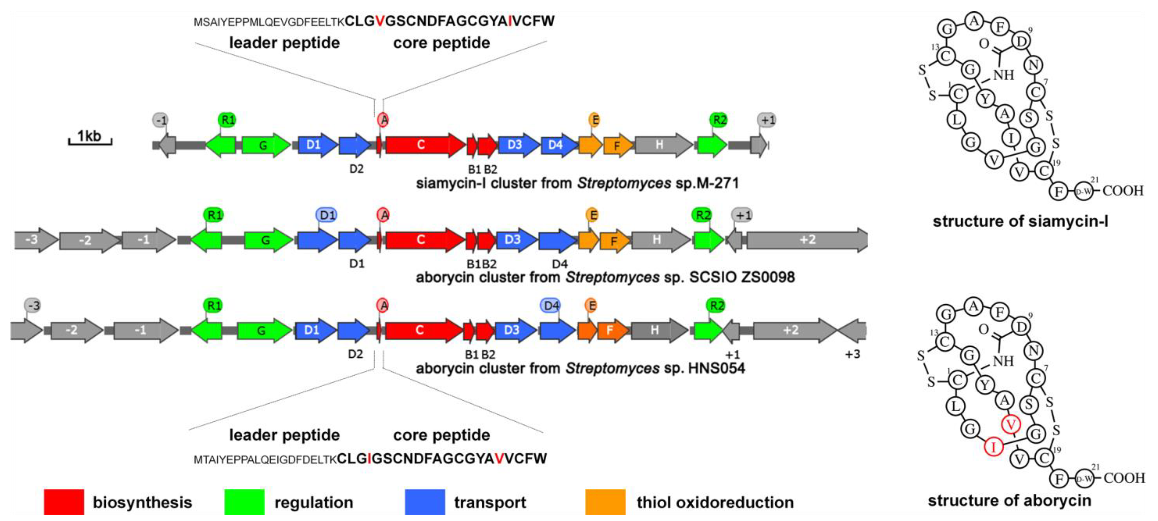 Marinedrugs 21 00534 g001