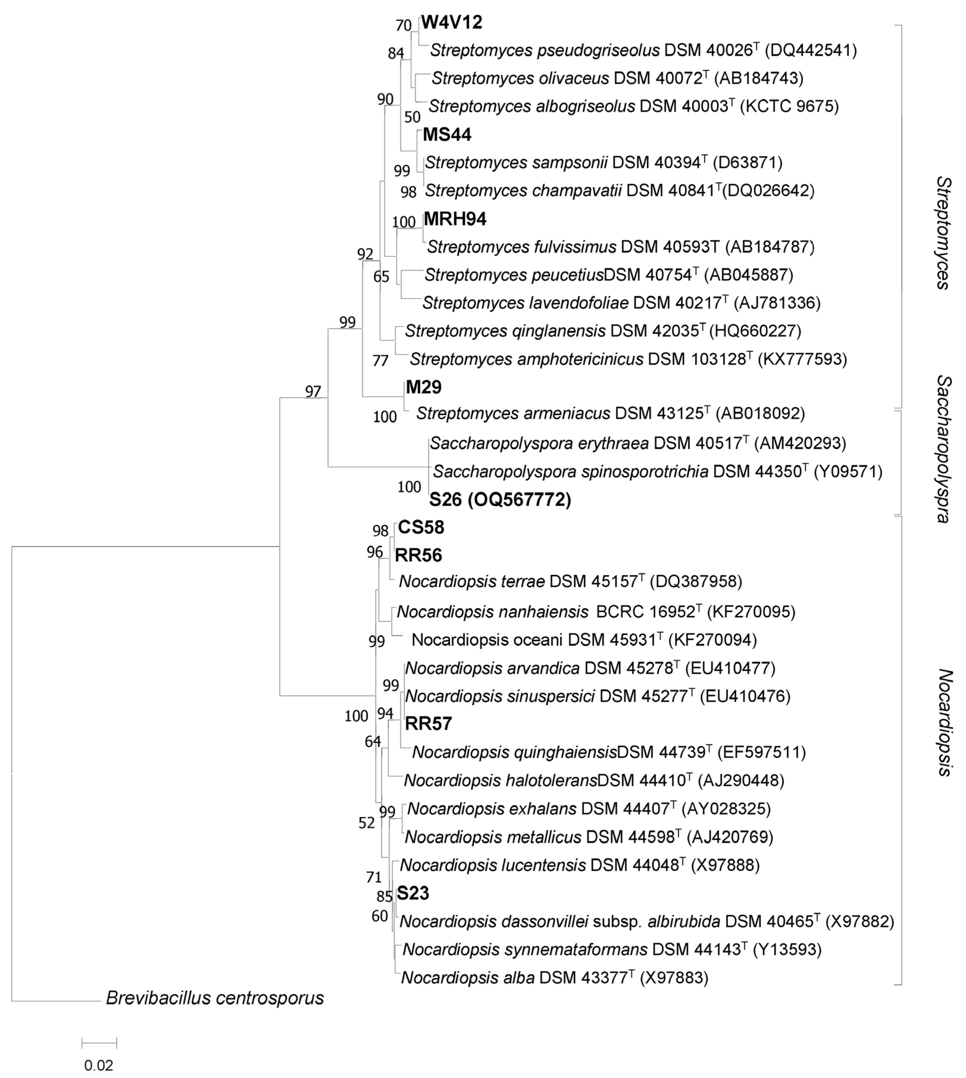 Marinedrugs 21 00536 g002