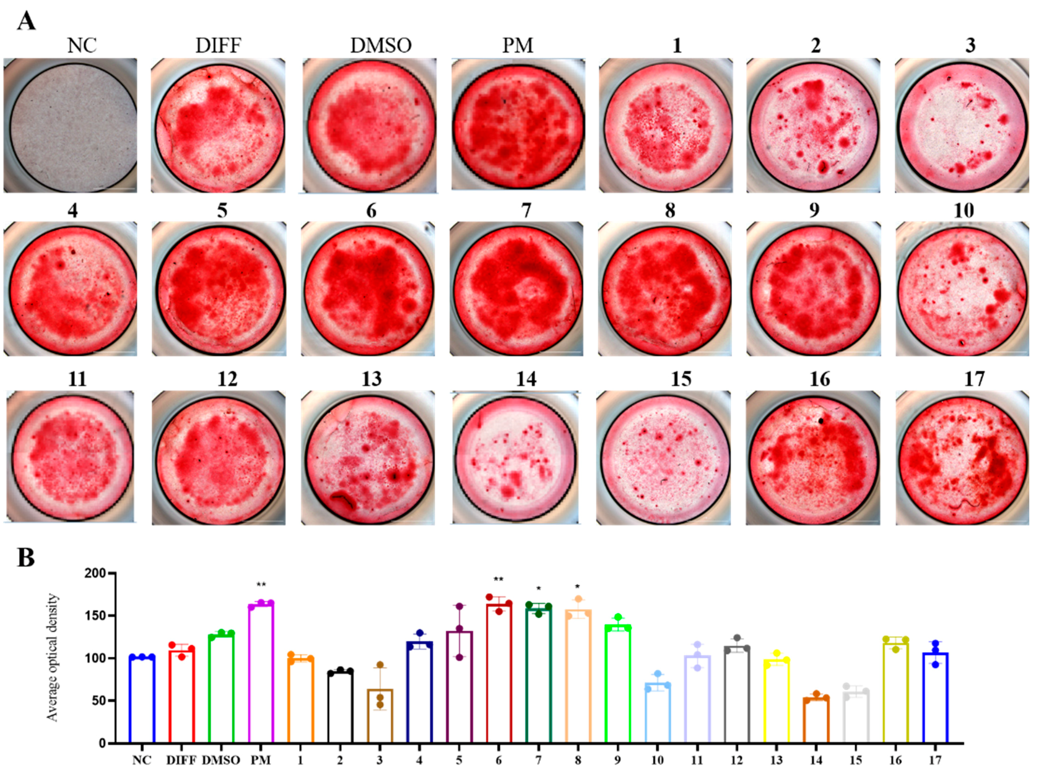 Marinedrugs 21 00538 g008