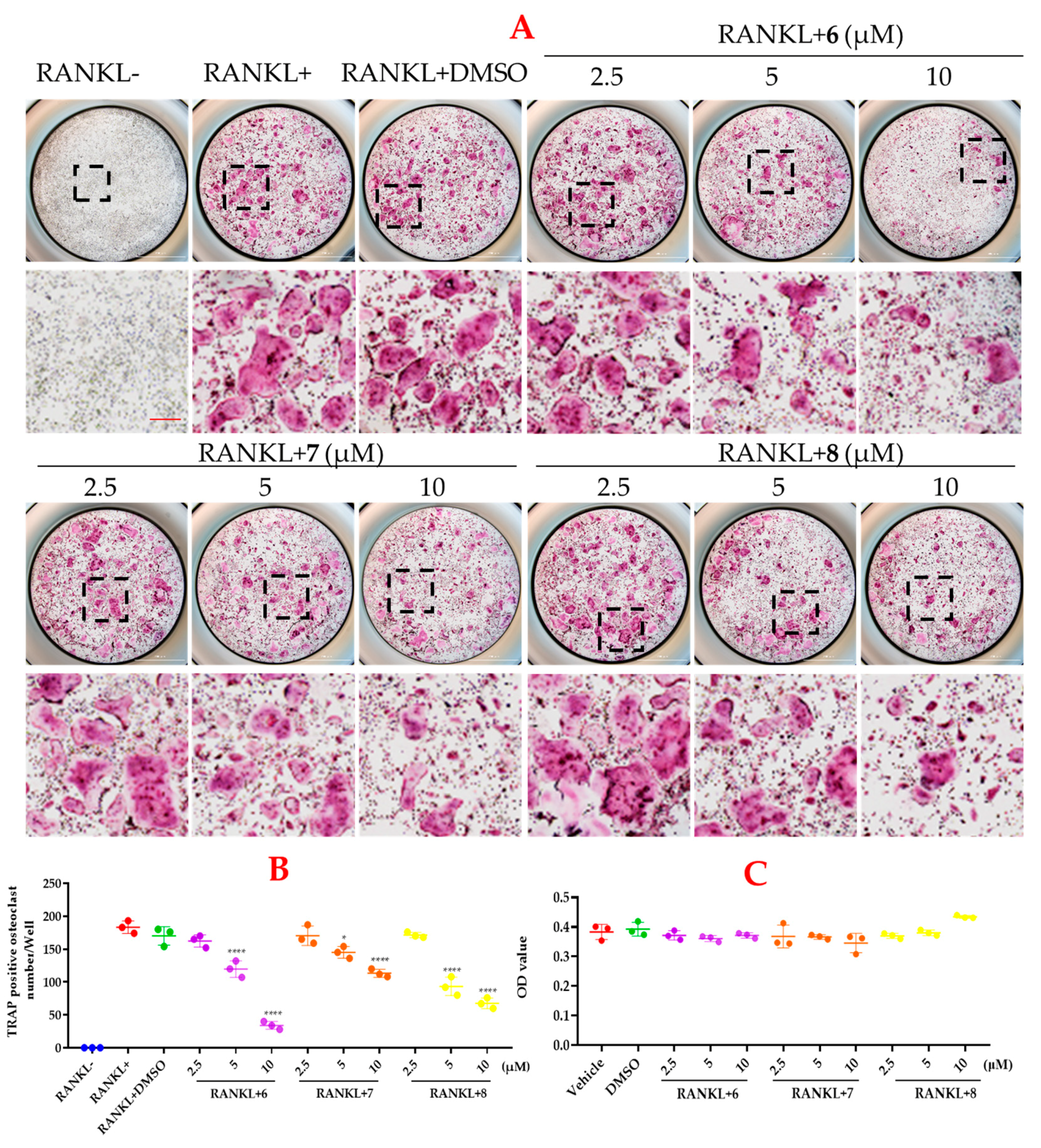 Marinedrugs 21 00538 g009