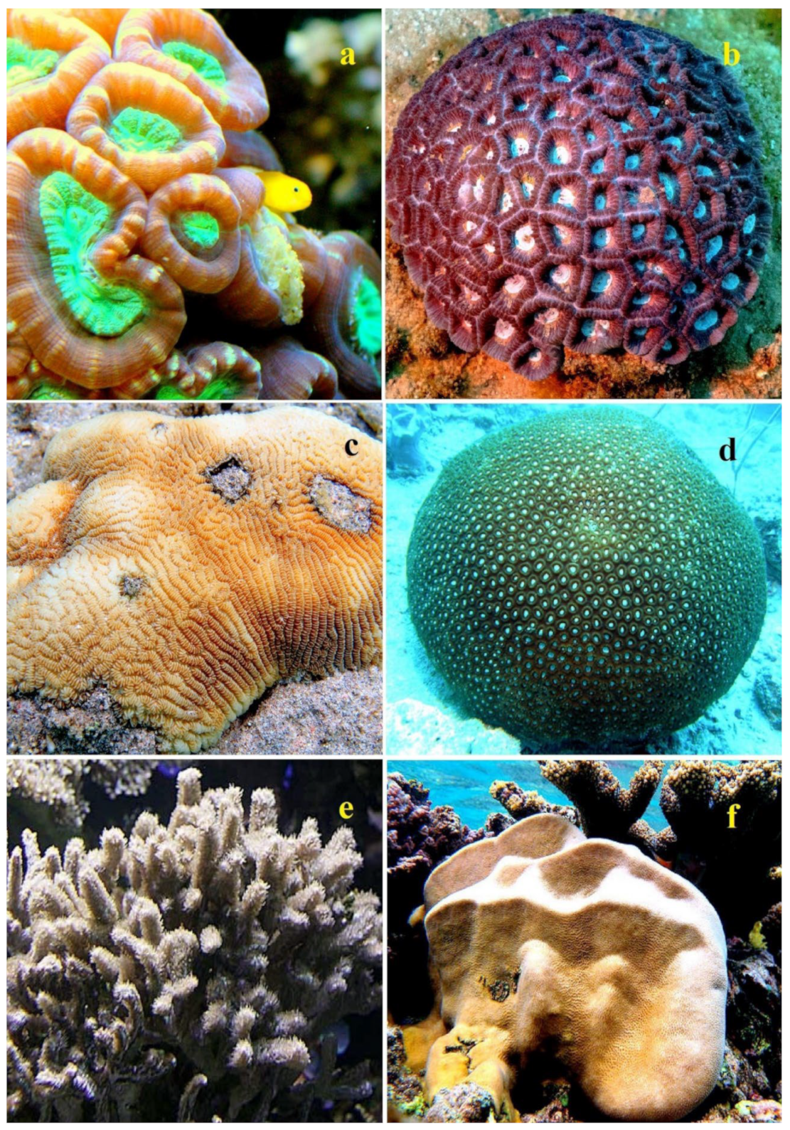 Marinedrugs 21 00539 g003